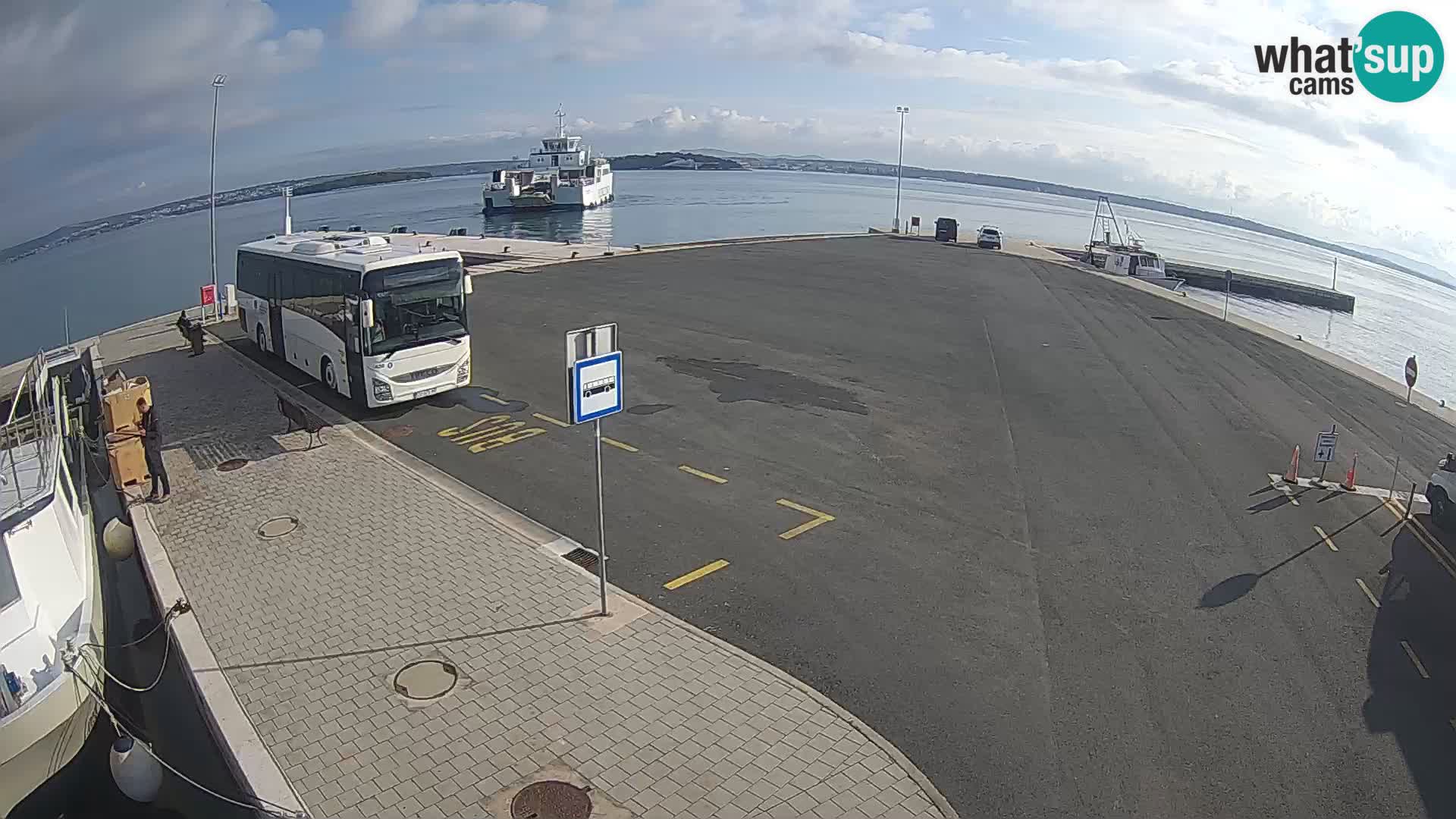 Tkon Live cam – ferry – Dalmatie – Croatie