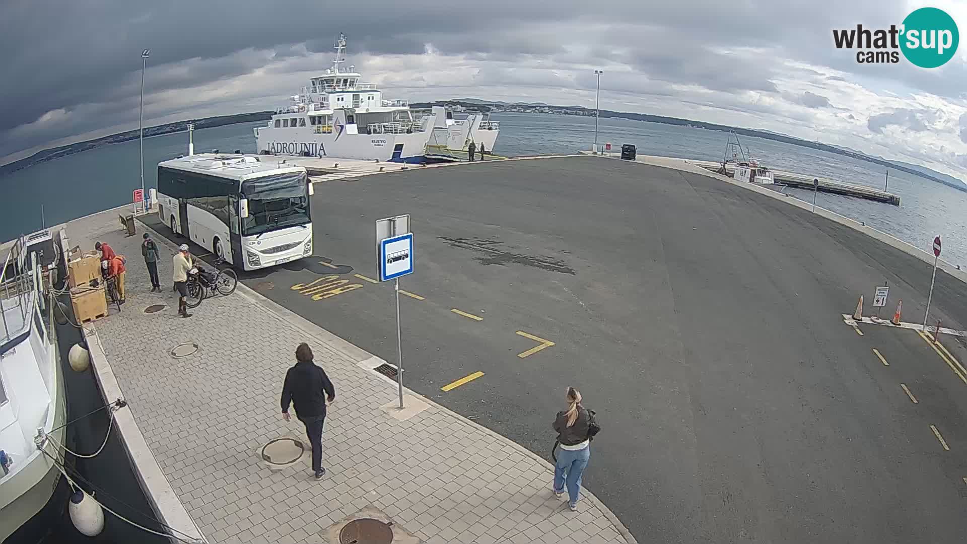 Tkon Live cam – ferry – Dalmatia – Croatia
