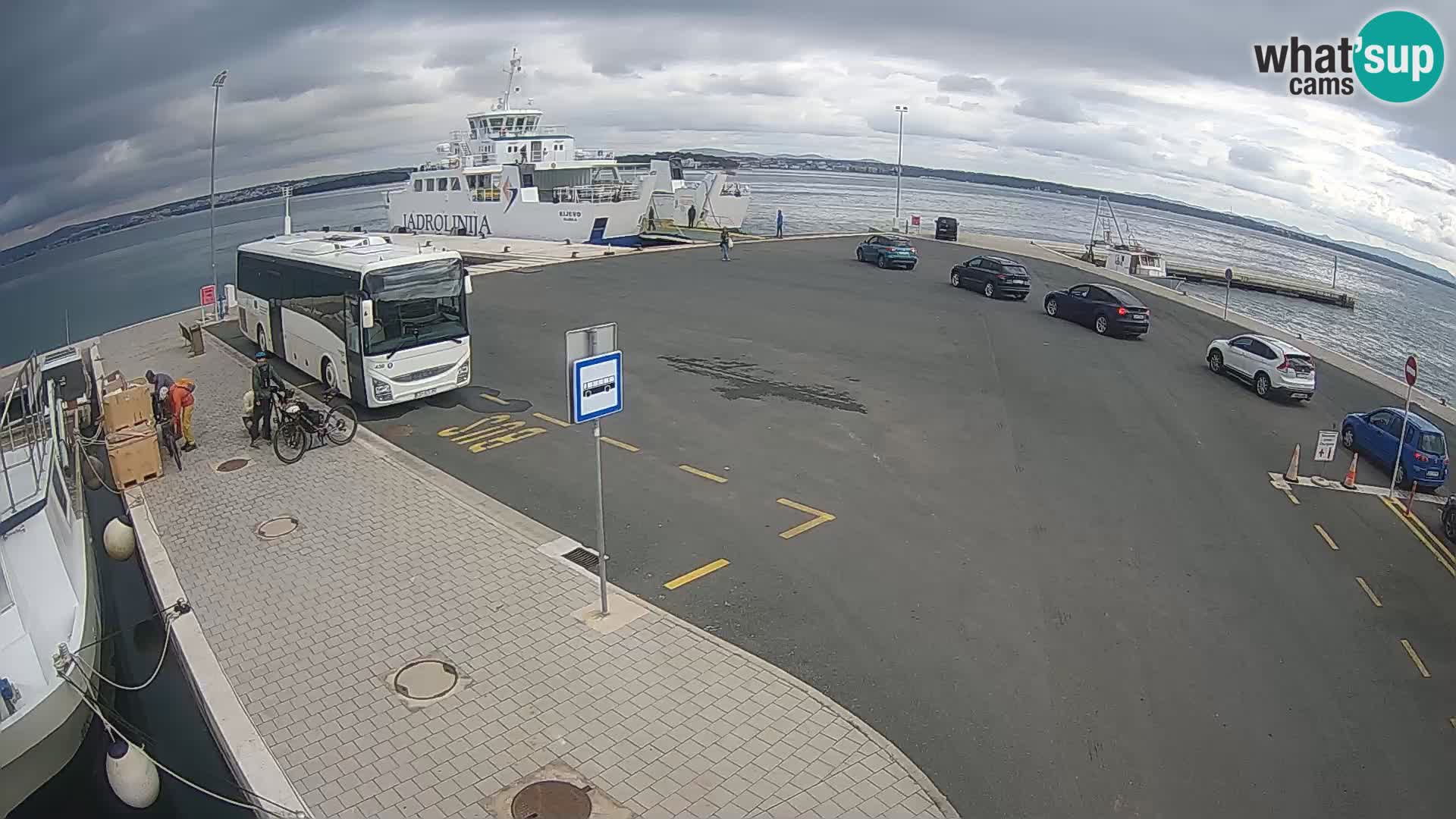 Tkon v živo – trajekt – Dalmacija – Hrvaška