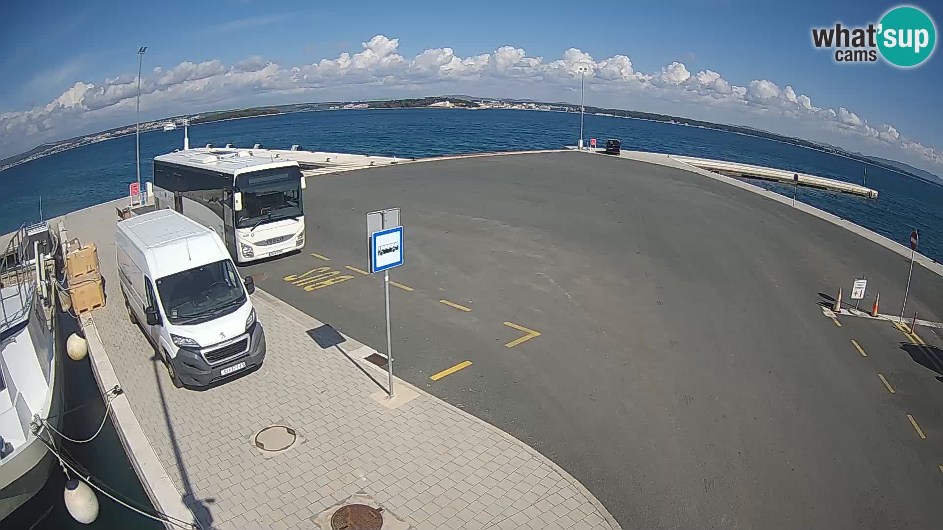 Tkon camera en vivo – Transportar – Dalmacia – Croacia