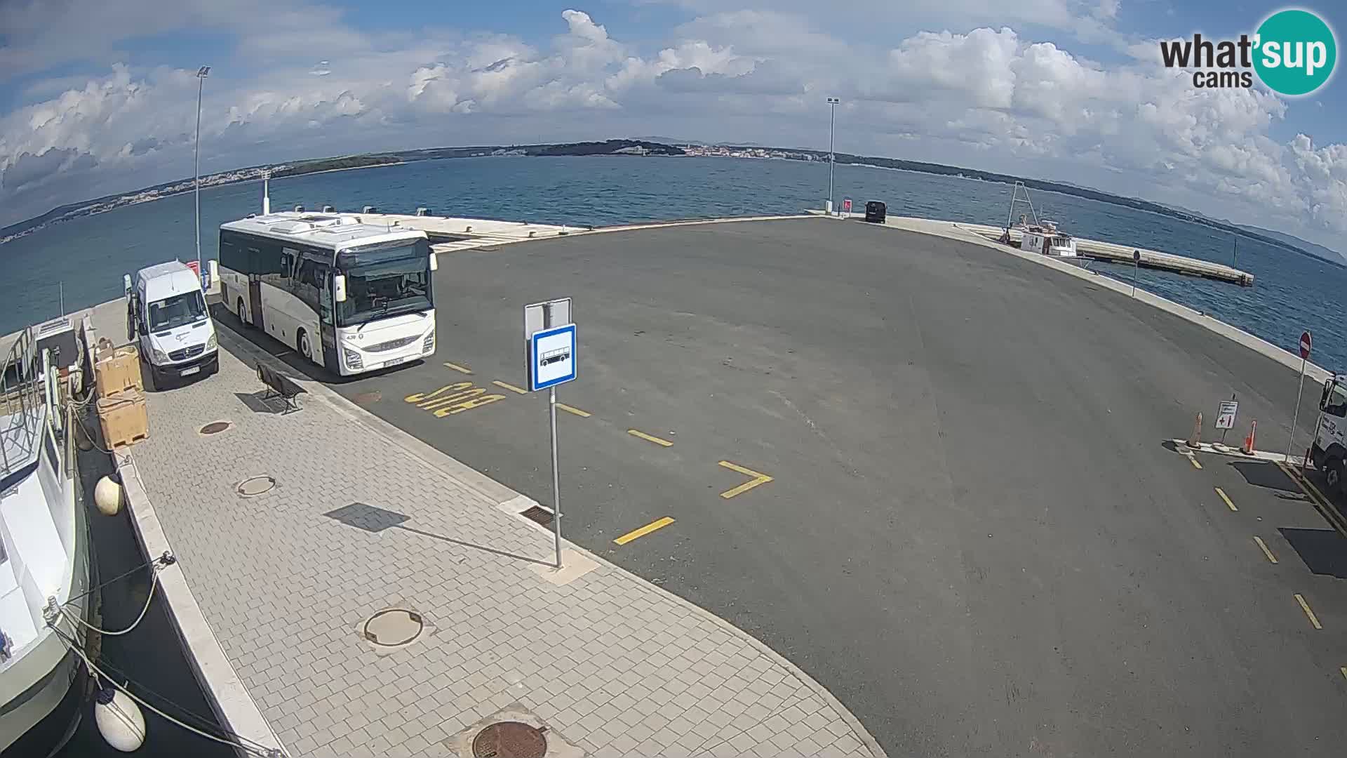 Tkon u živo – trajekt – Dalmacija