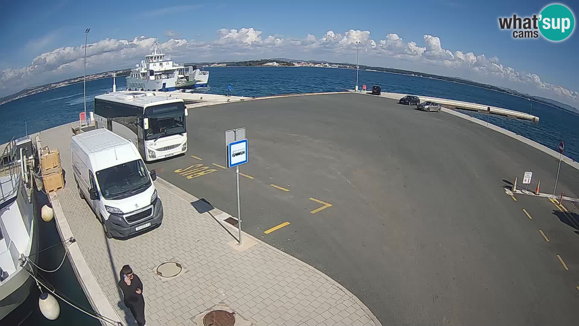 Tkon v živo – trajekt – Dalmacija – Hrvaška