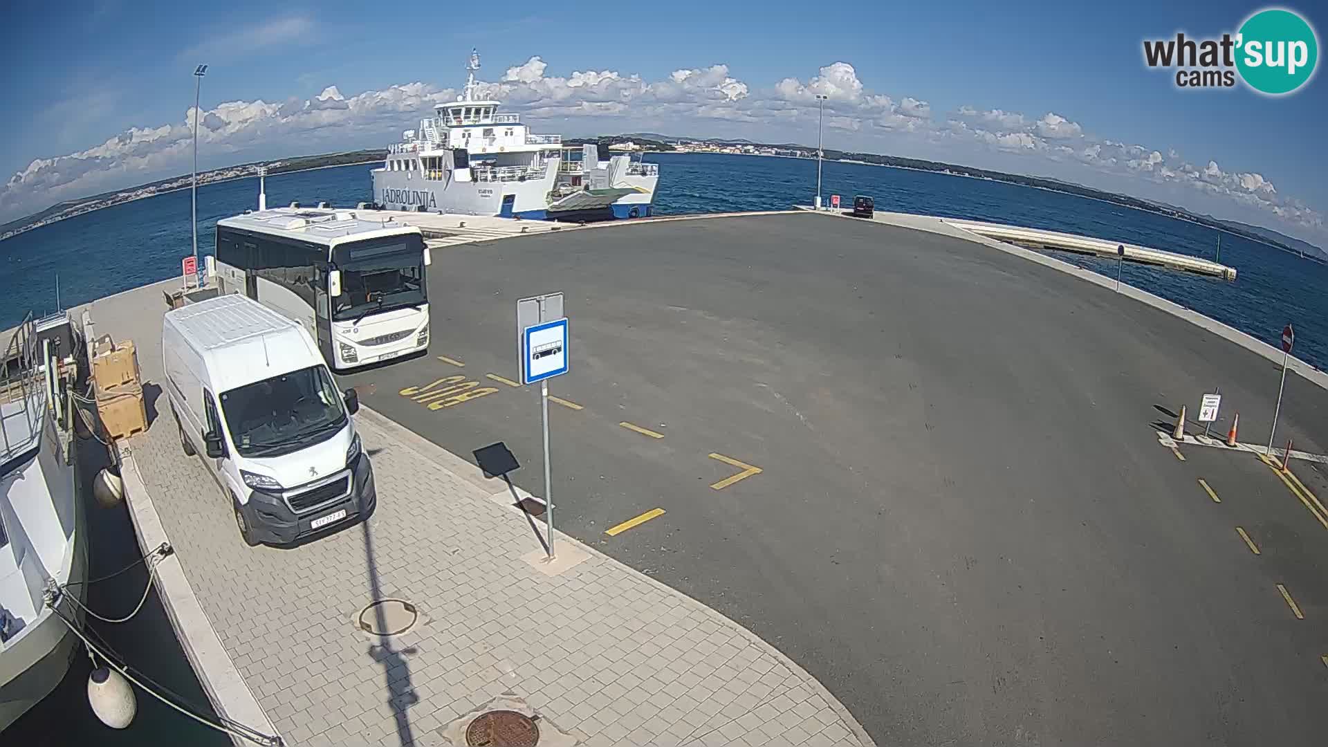 Tkon v živo – trajekt – Dalmacija – Hrvaška