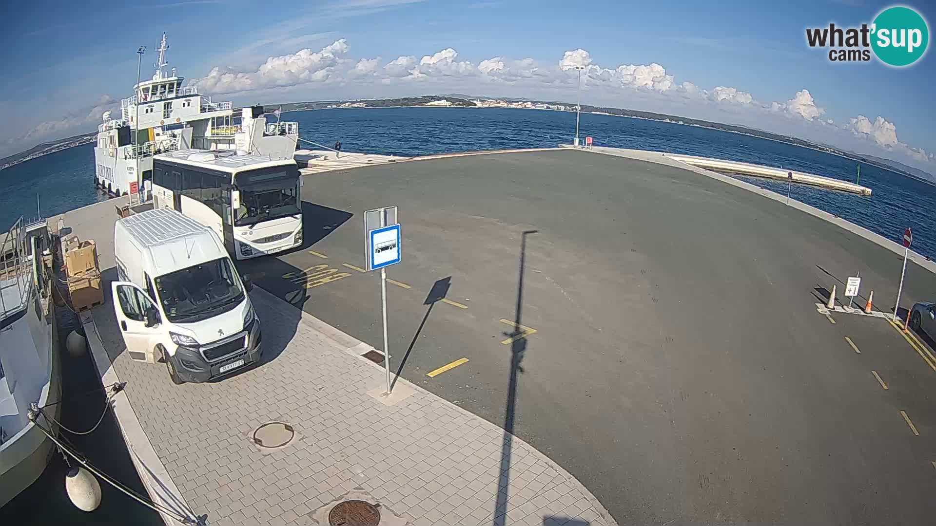 Tkon camera en vivo – Transportar – Dalmacia – Croacia