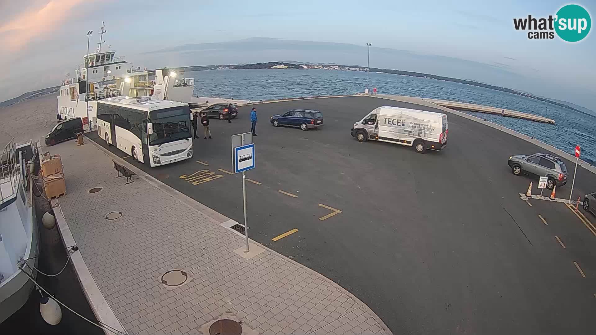 Tkon v živo – trajekt – Dalmacija – Hrvaška