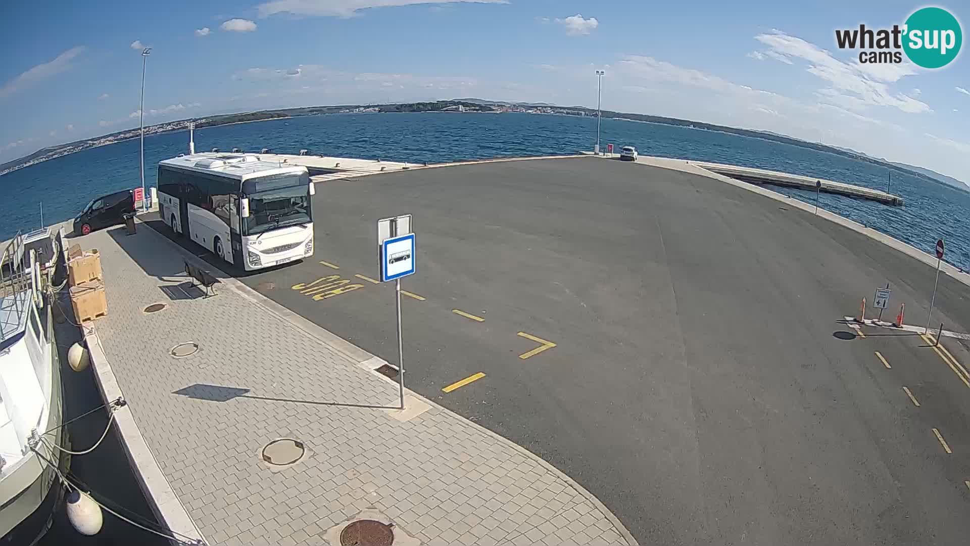 Tkon v živo – trajekt – Dalmacija – Hrvaška