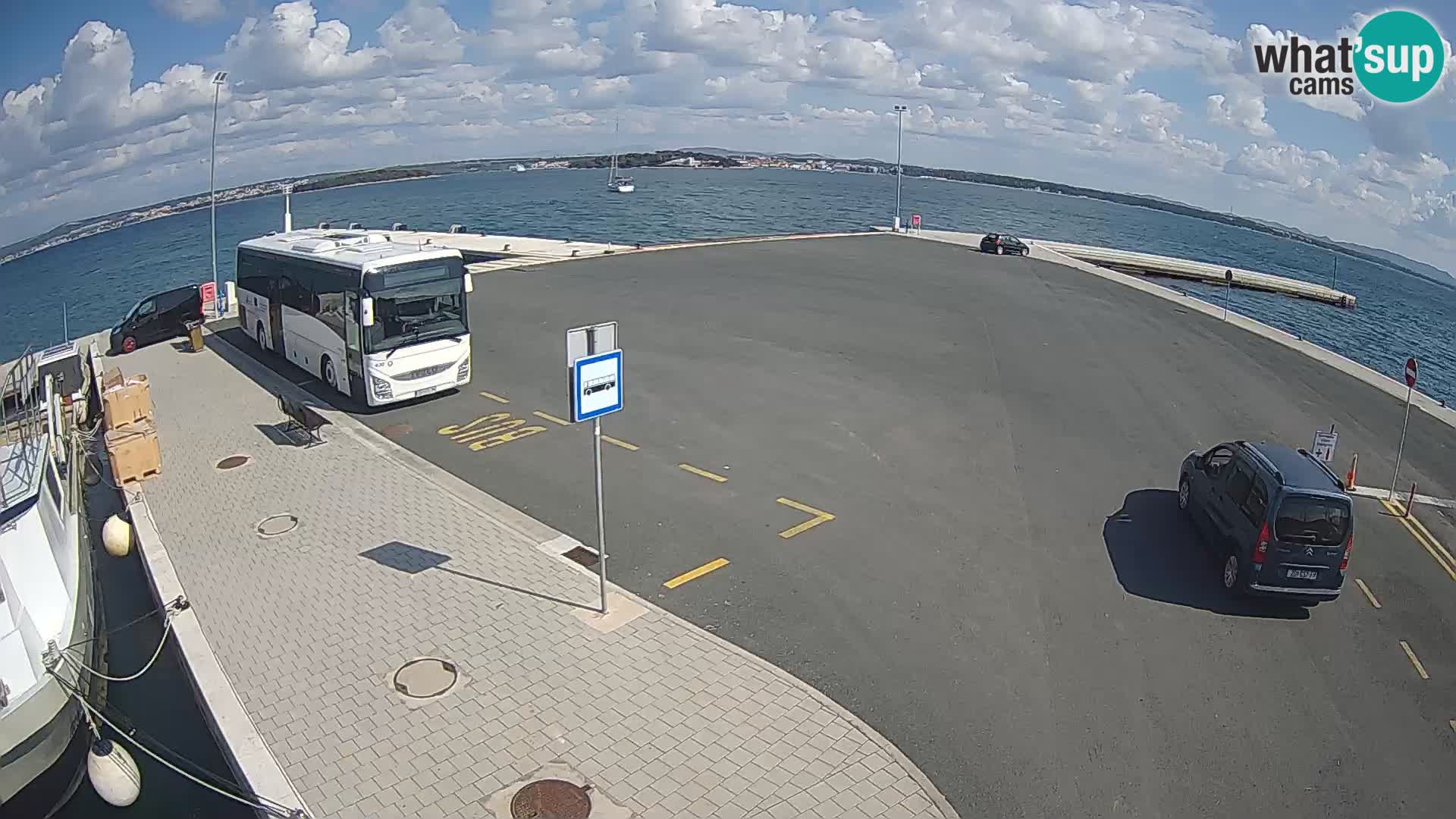 Tkon v živo – trajekt – Dalmacija – Hrvaška