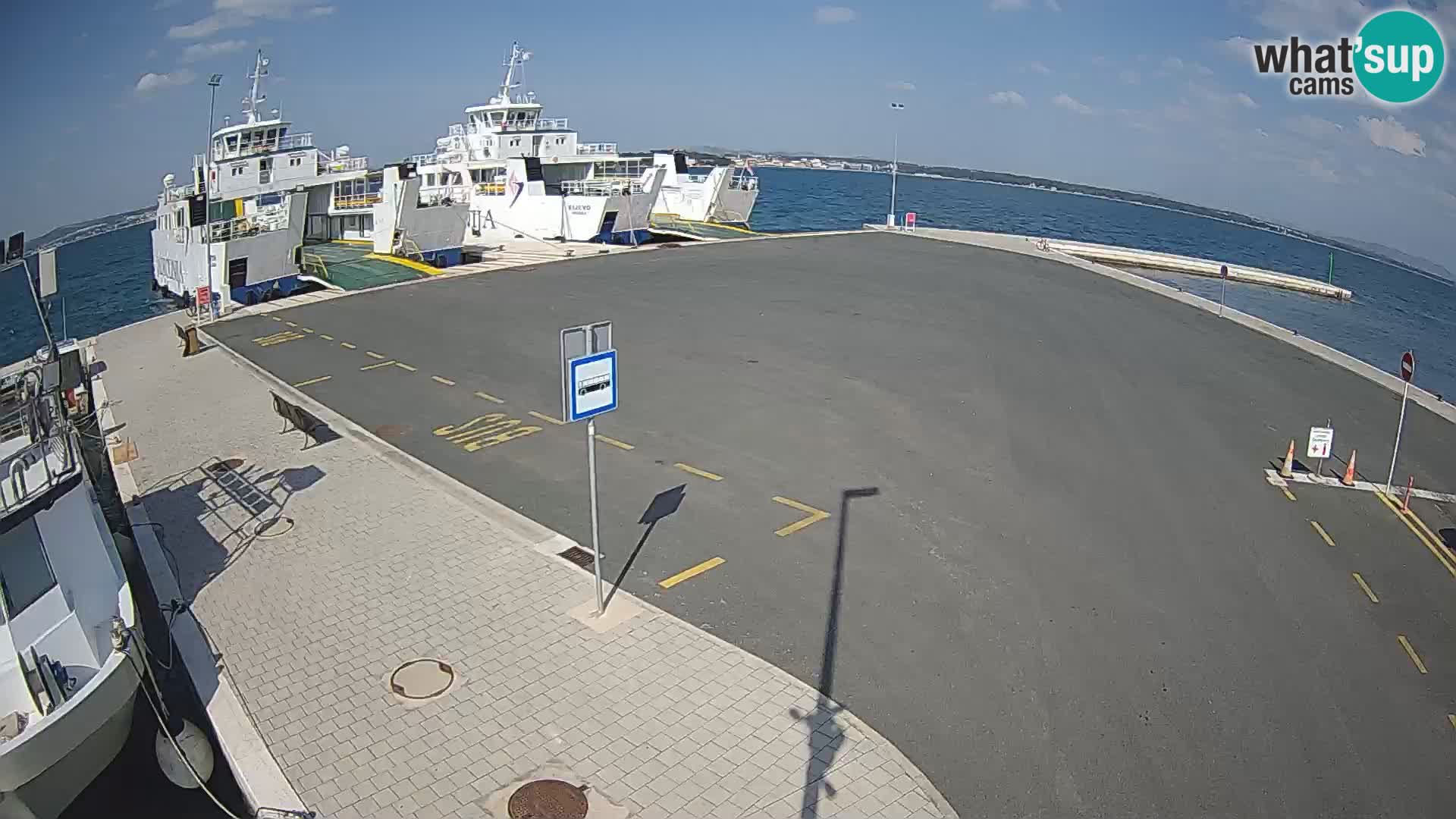 Tkon camera en vivo – Transportar – Dalmacia – Croacia