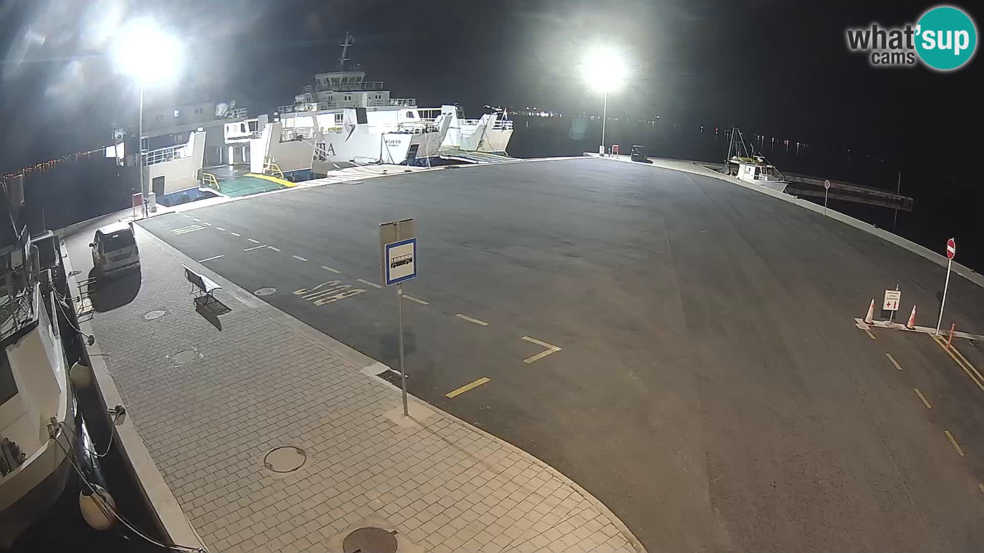 Tkon v živo – trajekt – Dalmacija – Hrvaška