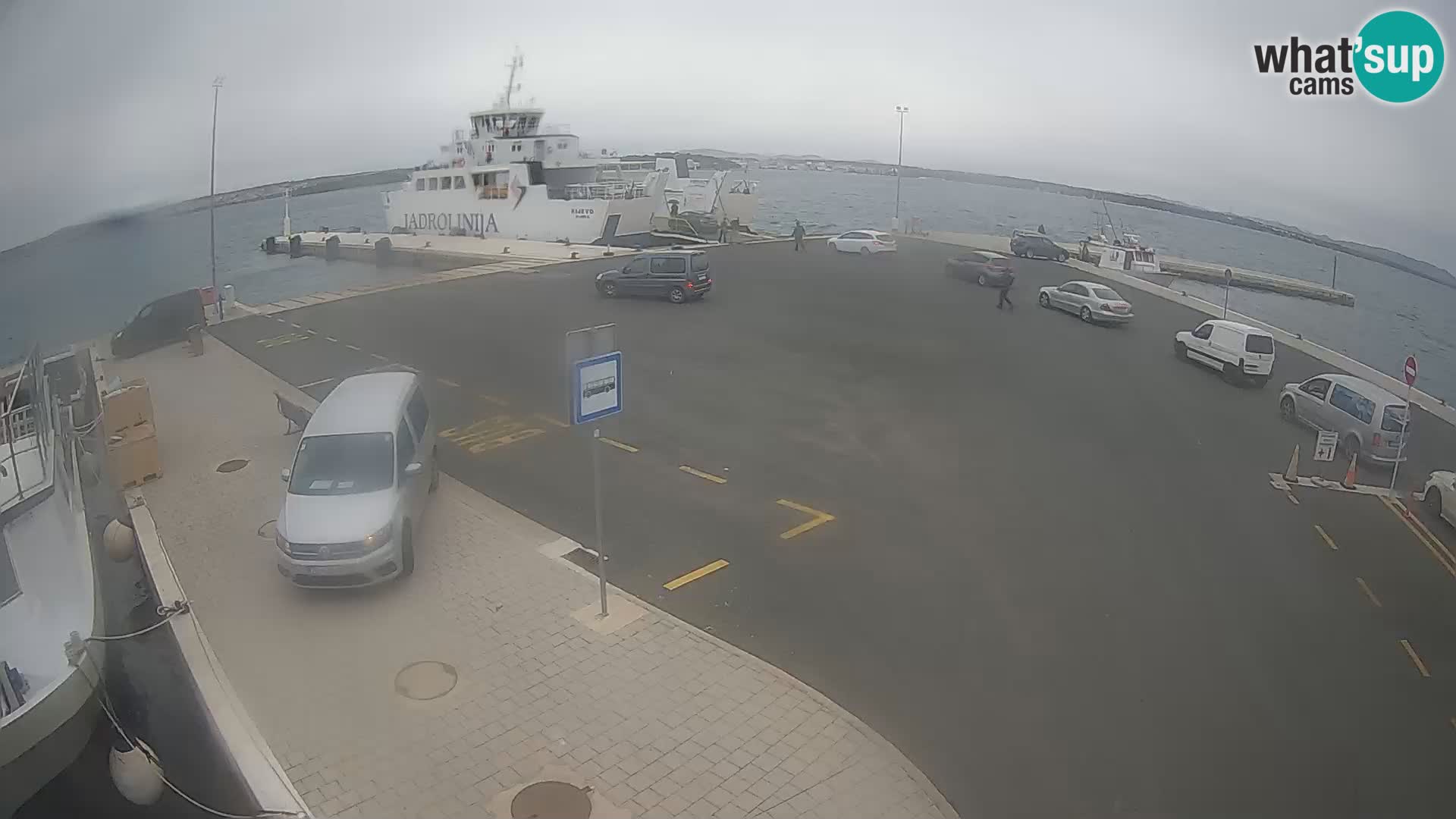 Tkon Live cam – ferry – Dalmatia – Croatia