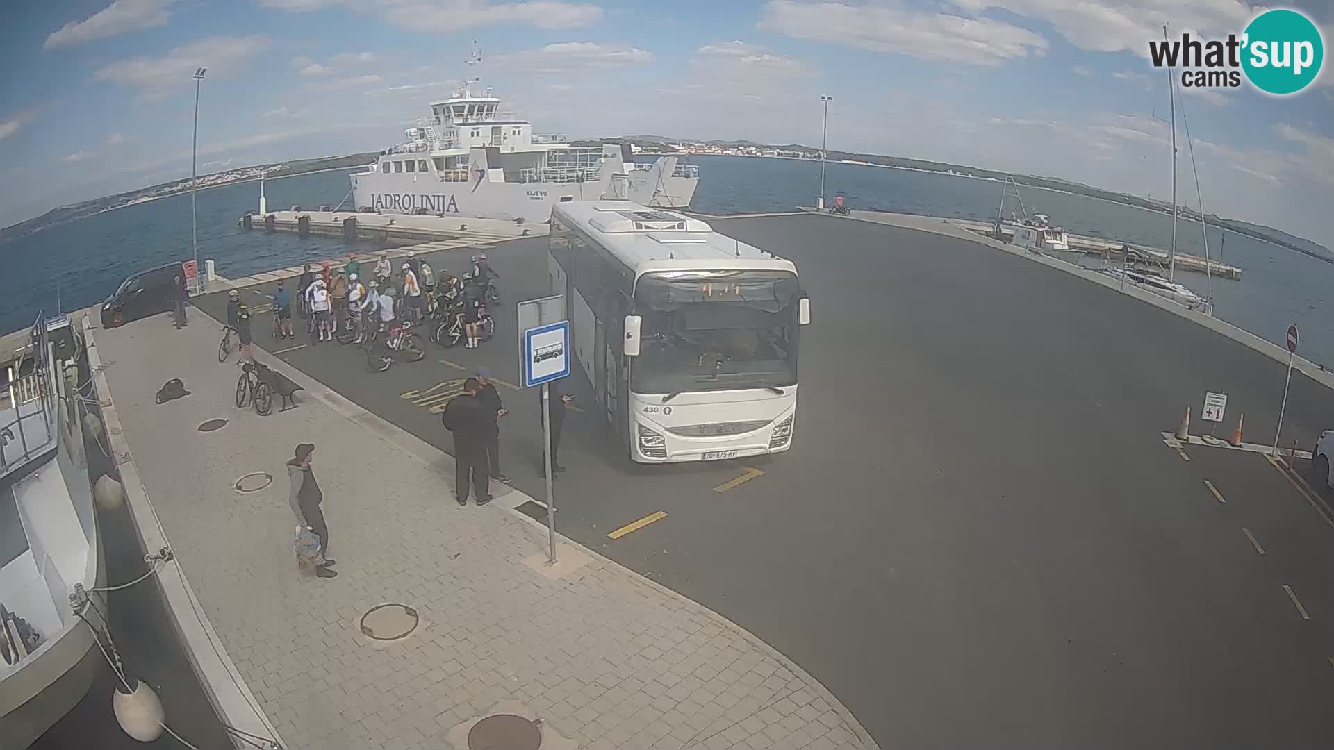 Tkon v živo – trajekt – Dalmacija – Hrvaška
