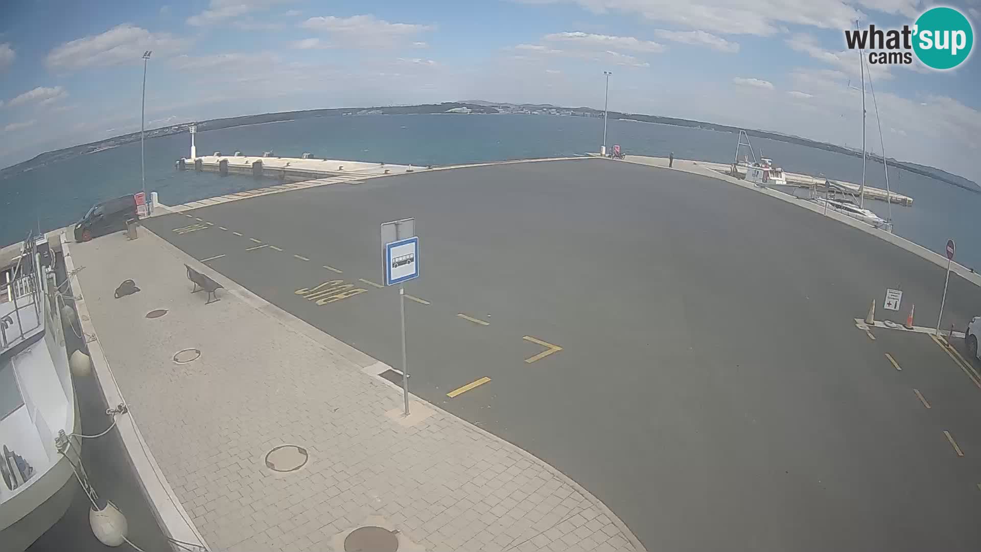 Tkon v živo – trajekt – Dalmacija – Hrvaška