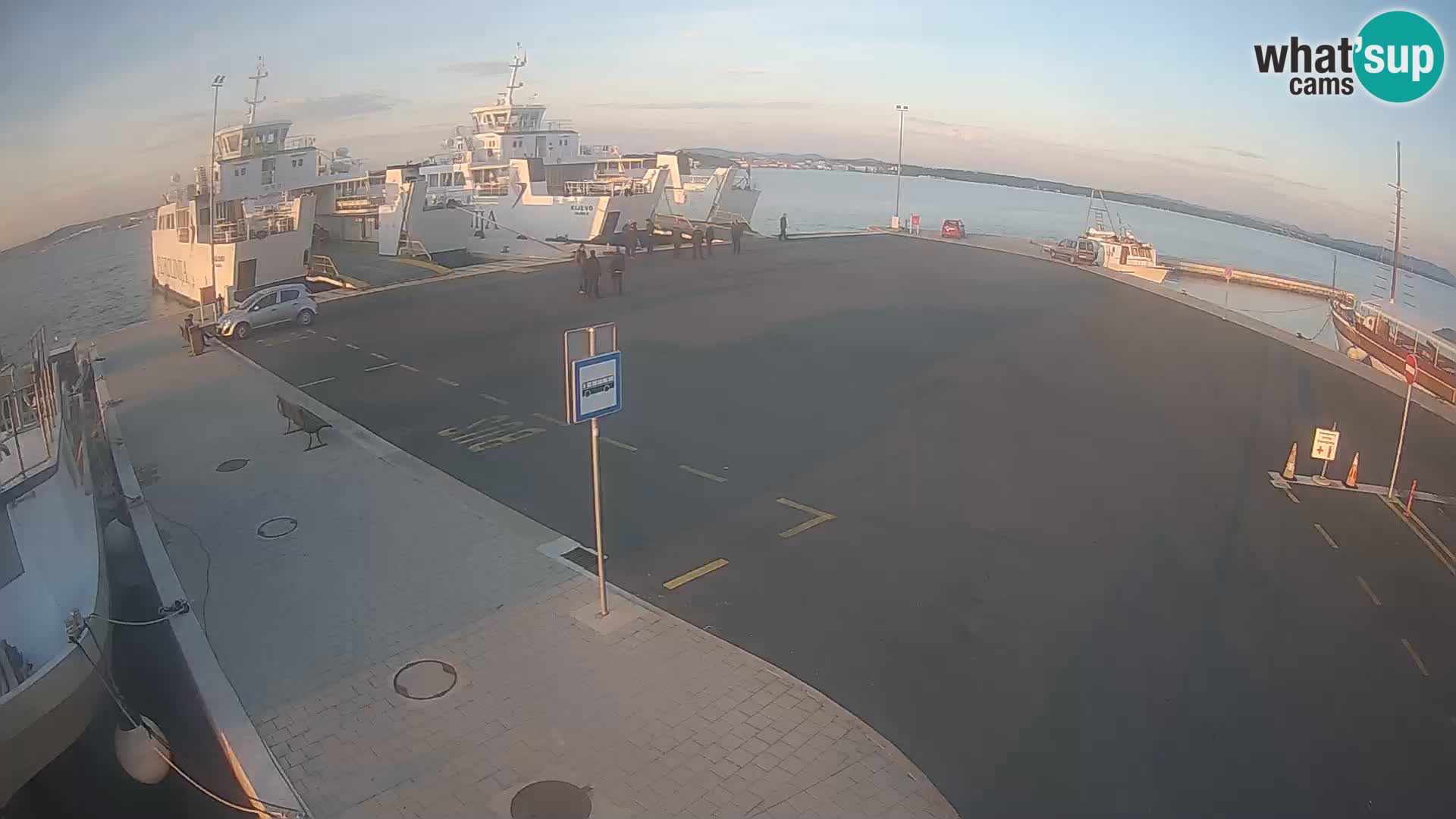 Tkon v živo – trajekt – Dalmacija – Hrvaška