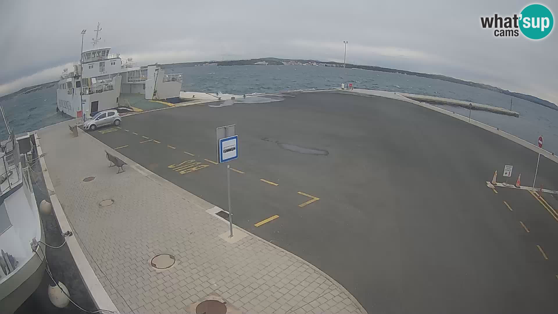 Tkon v živo – trajekt – Dalmacija – Hrvaška