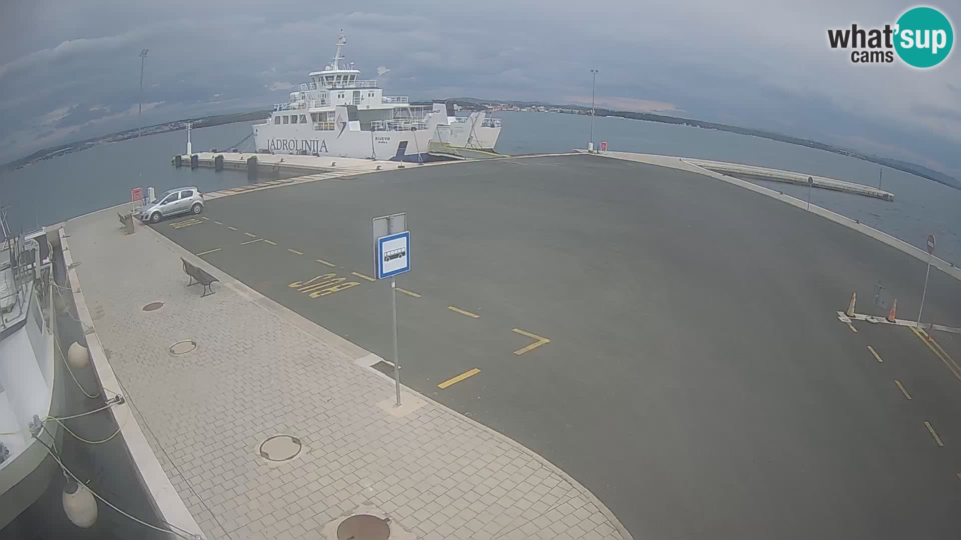 Tkon camera en vivo – Transportar – Dalmacia – Croacia