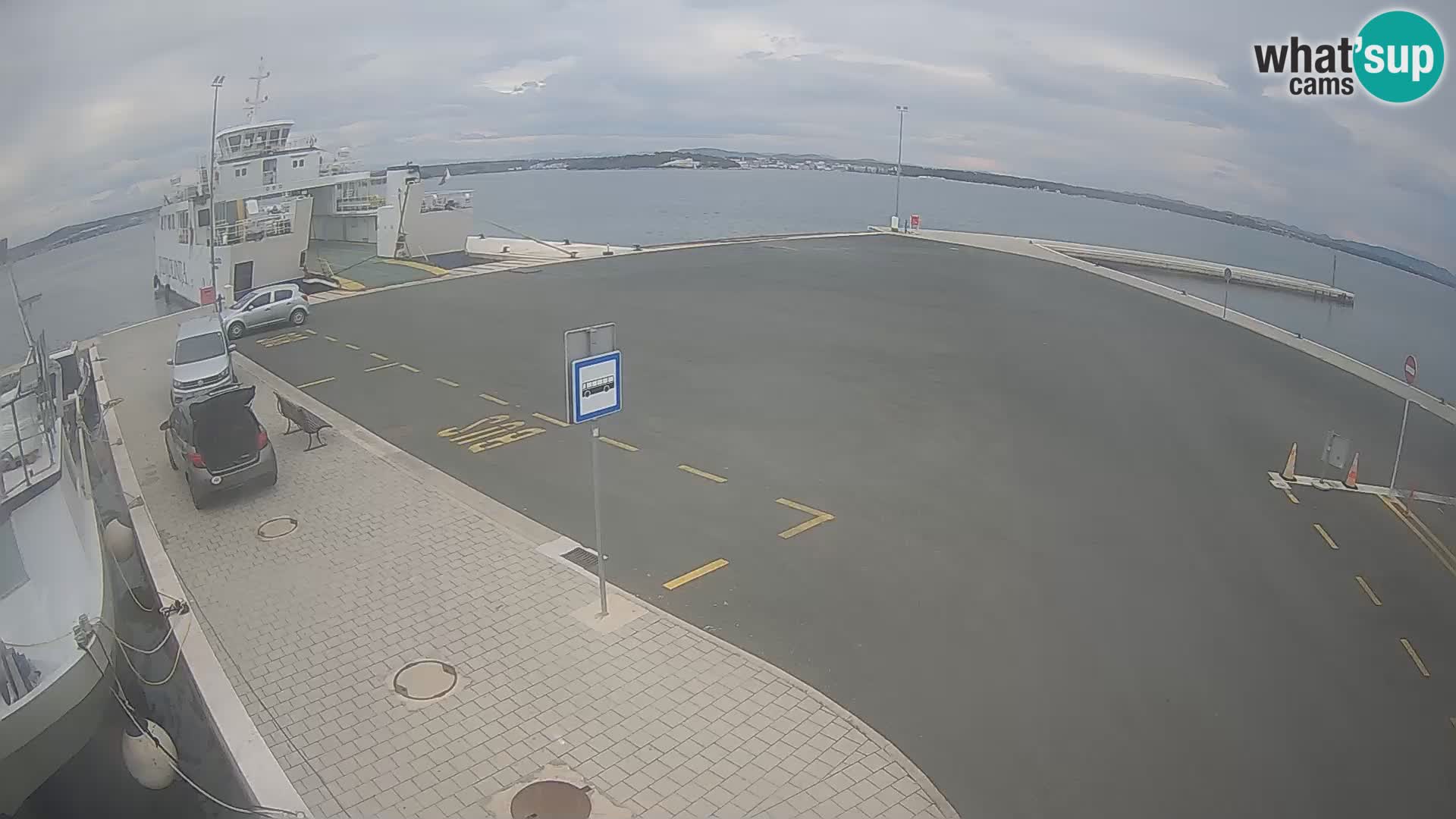 Tkon v živo – trajekt – Dalmacija – Hrvaška