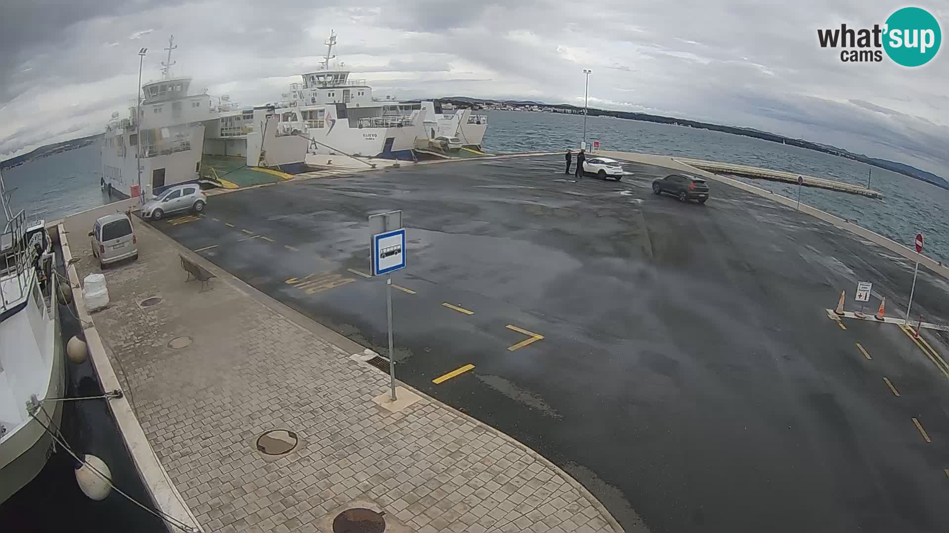 Tkon camera en vivo – Transportar – Dalmacia – Croacia