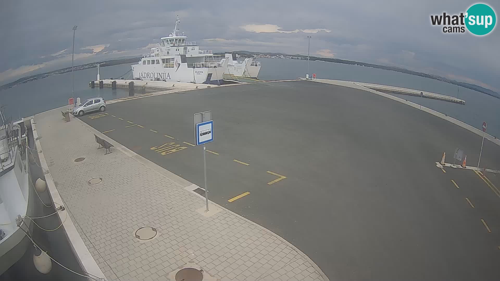 Tkon v živo – trajekt – Dalmacija – Hrvaška