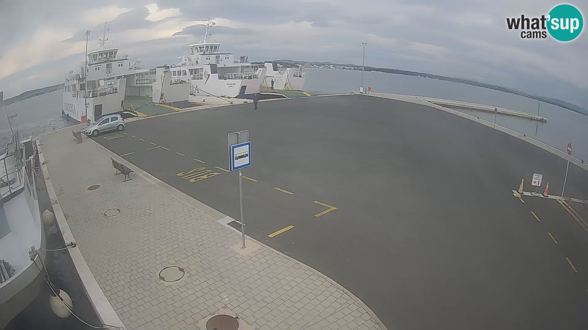 Tkon v živo – trajekt – Dalmacija – Hrvaška