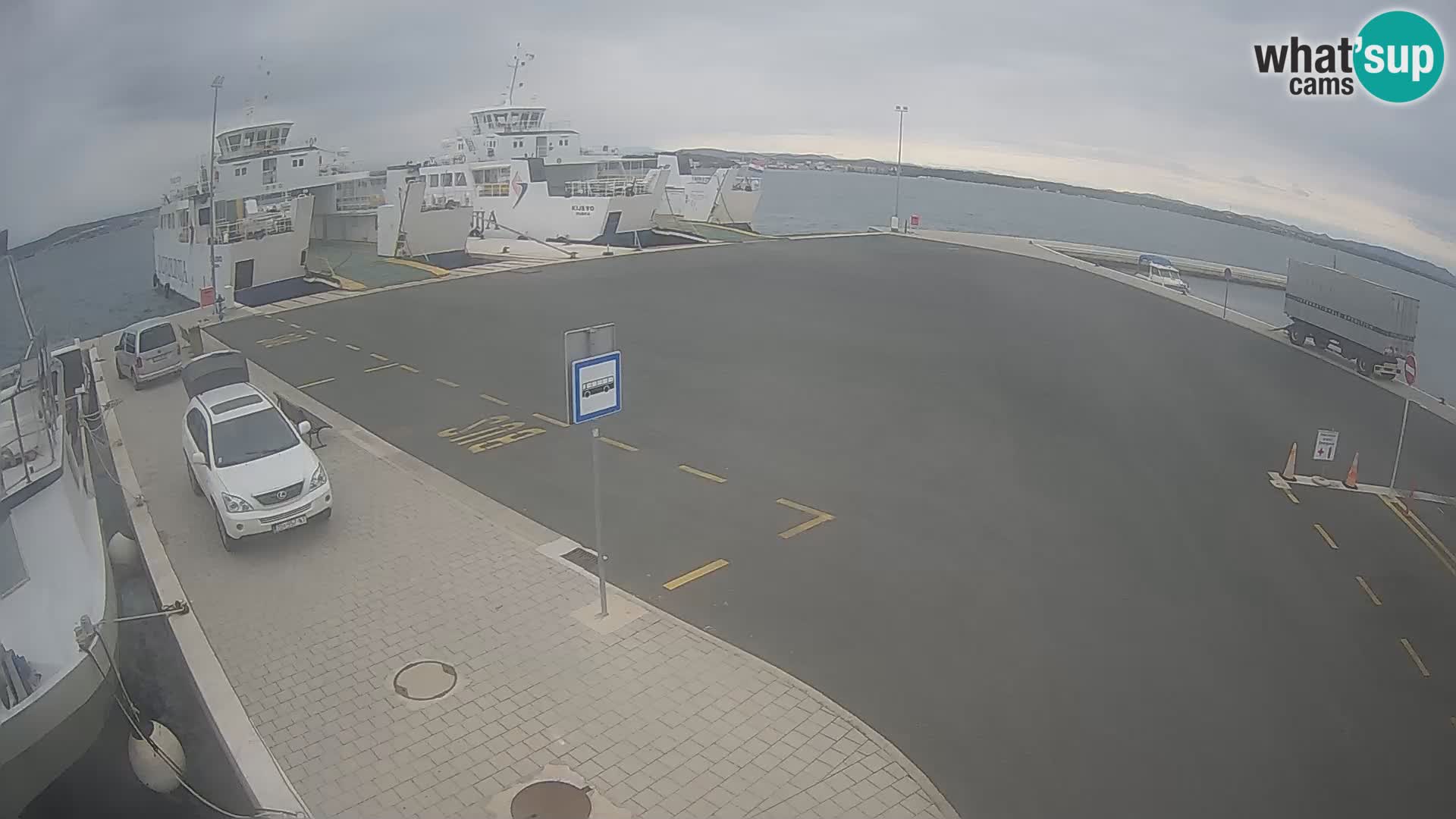 Tkon u živo – trajekt – Dalmacija