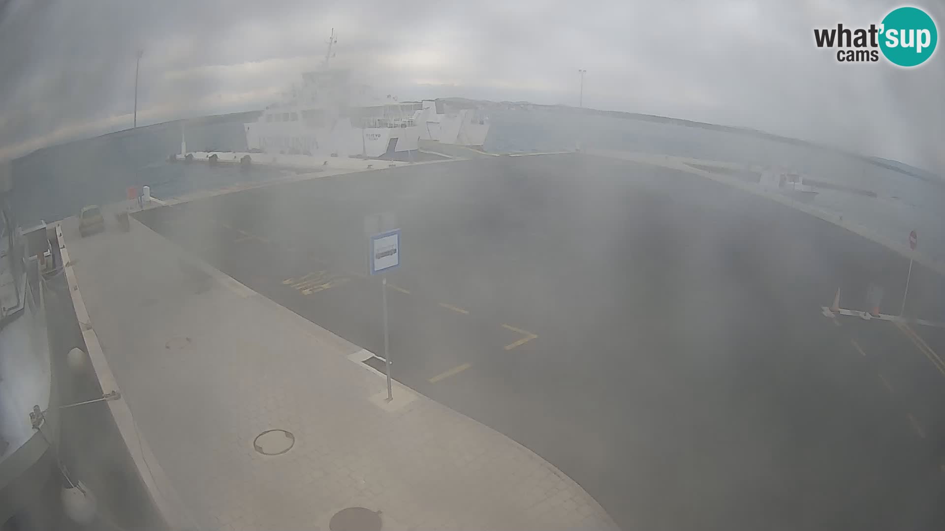 Tkon v živo – trajekt – Dalmacija – Hrvaška