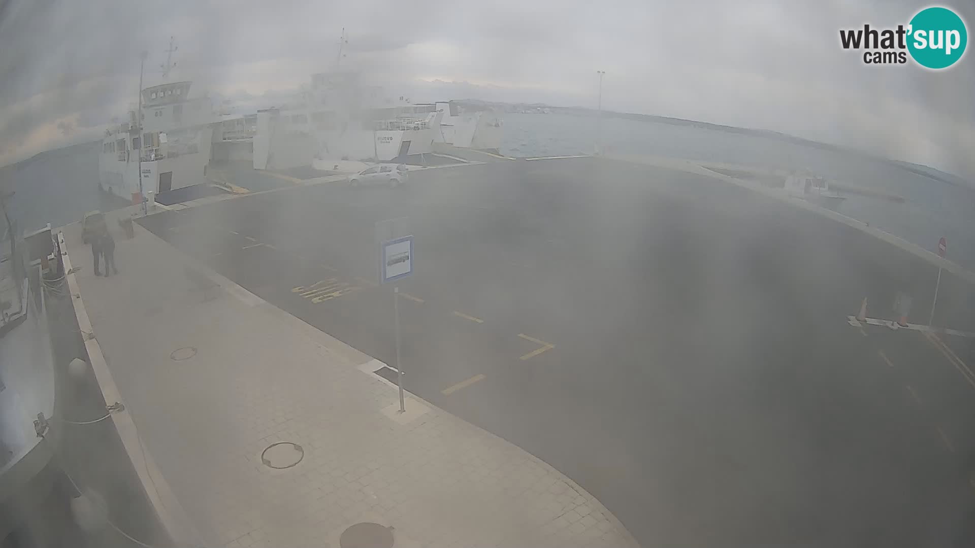 Tkon v živo – trajekt – Dalmacija – Hrvaška