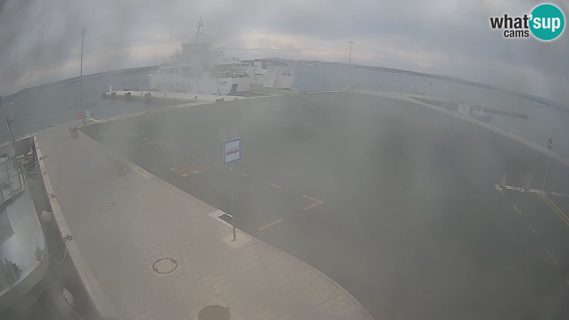 Tkon v živo – trajekt – Dalmacija – Hrvaška