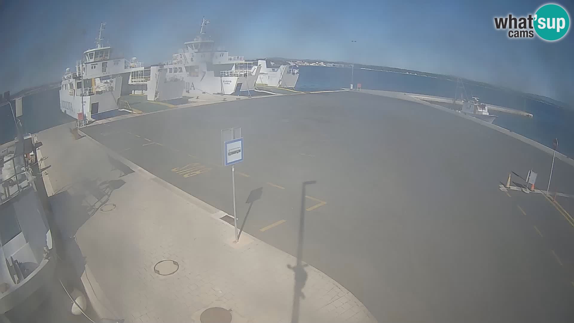 Tkon u živo – trajekt – Dalmacija