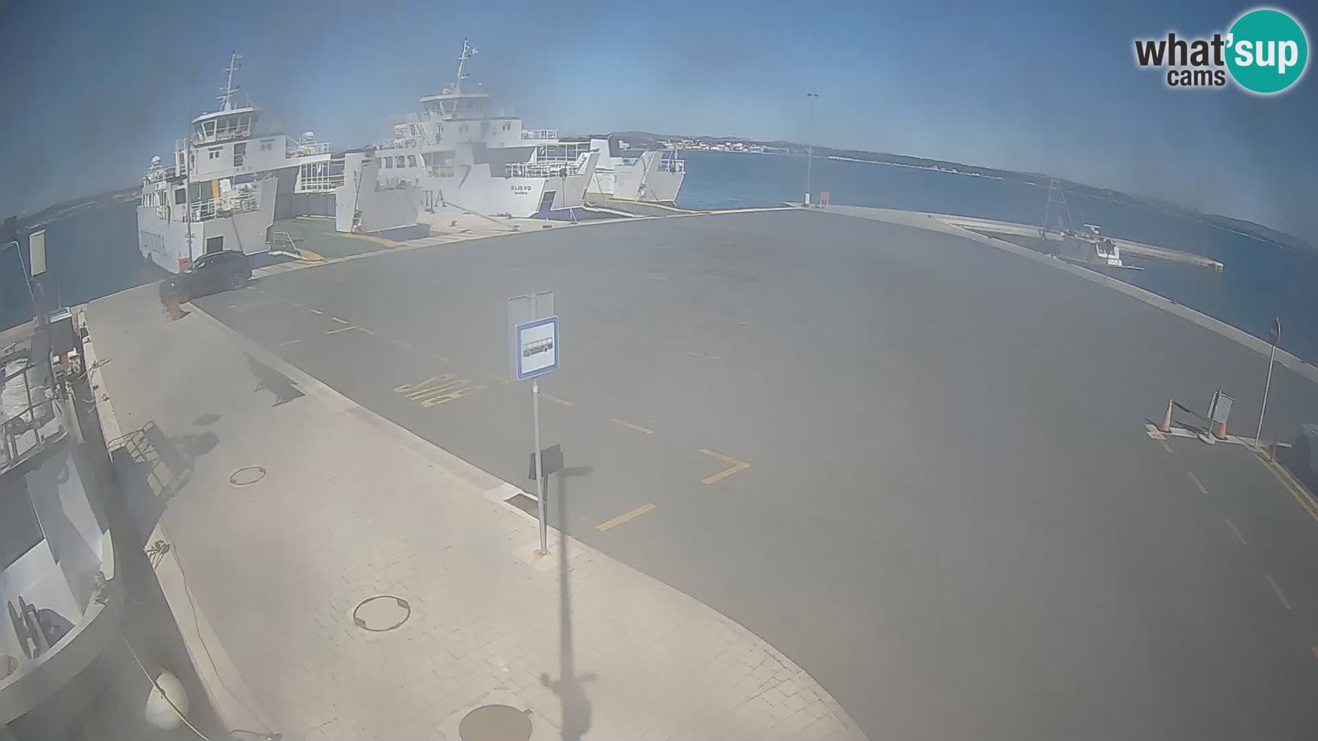 Tkon v živo – trajekt – Dalmacija – Hrvaška