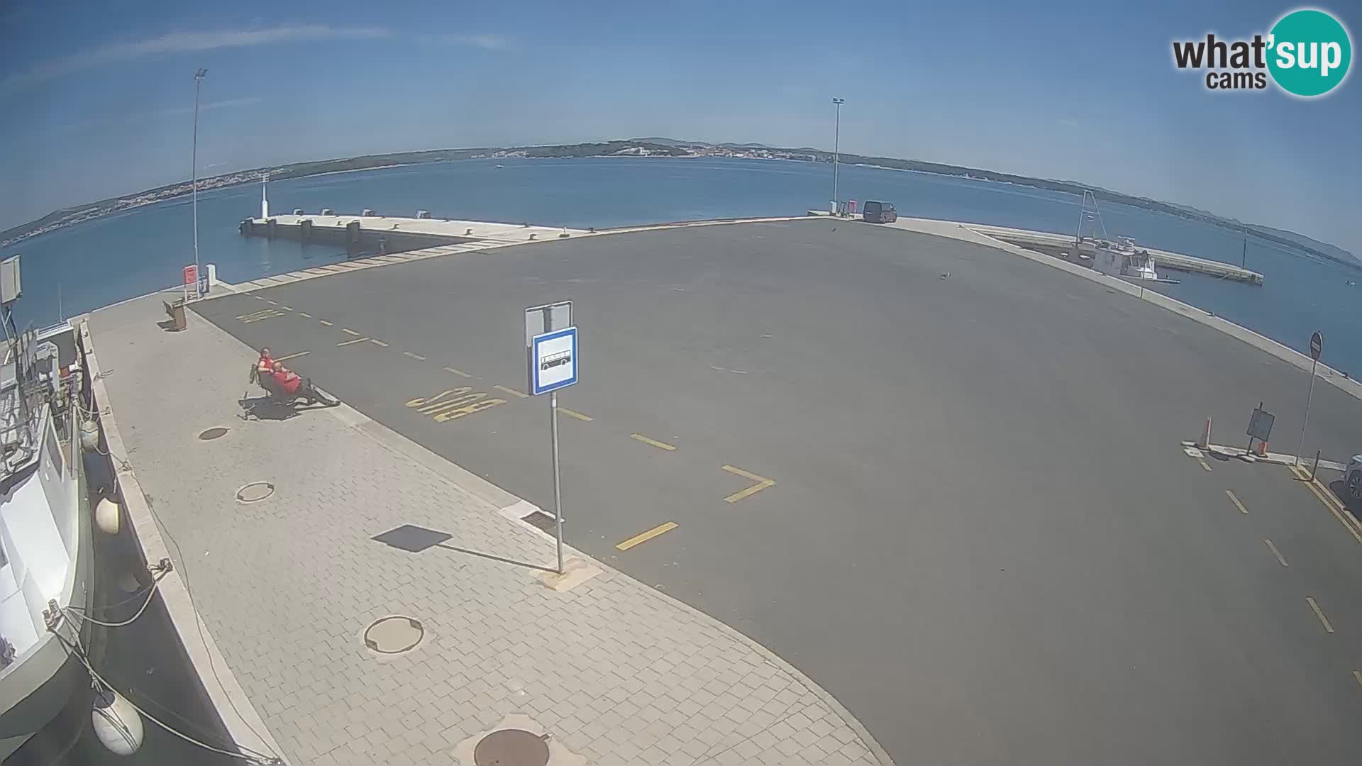 Tkon v živo – trajekt – Dalmacija – Hrvaška