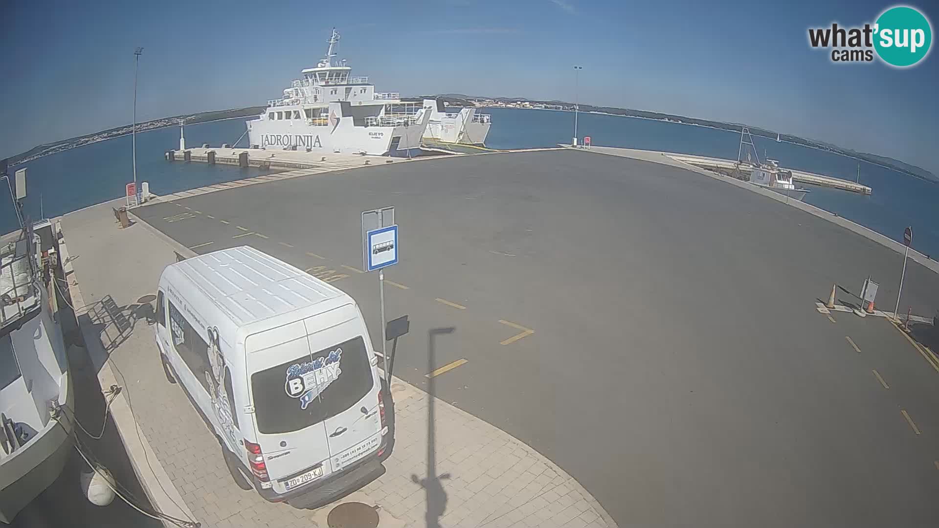 Tkon v živo – trajekt – Dalmacija – Hrvaška