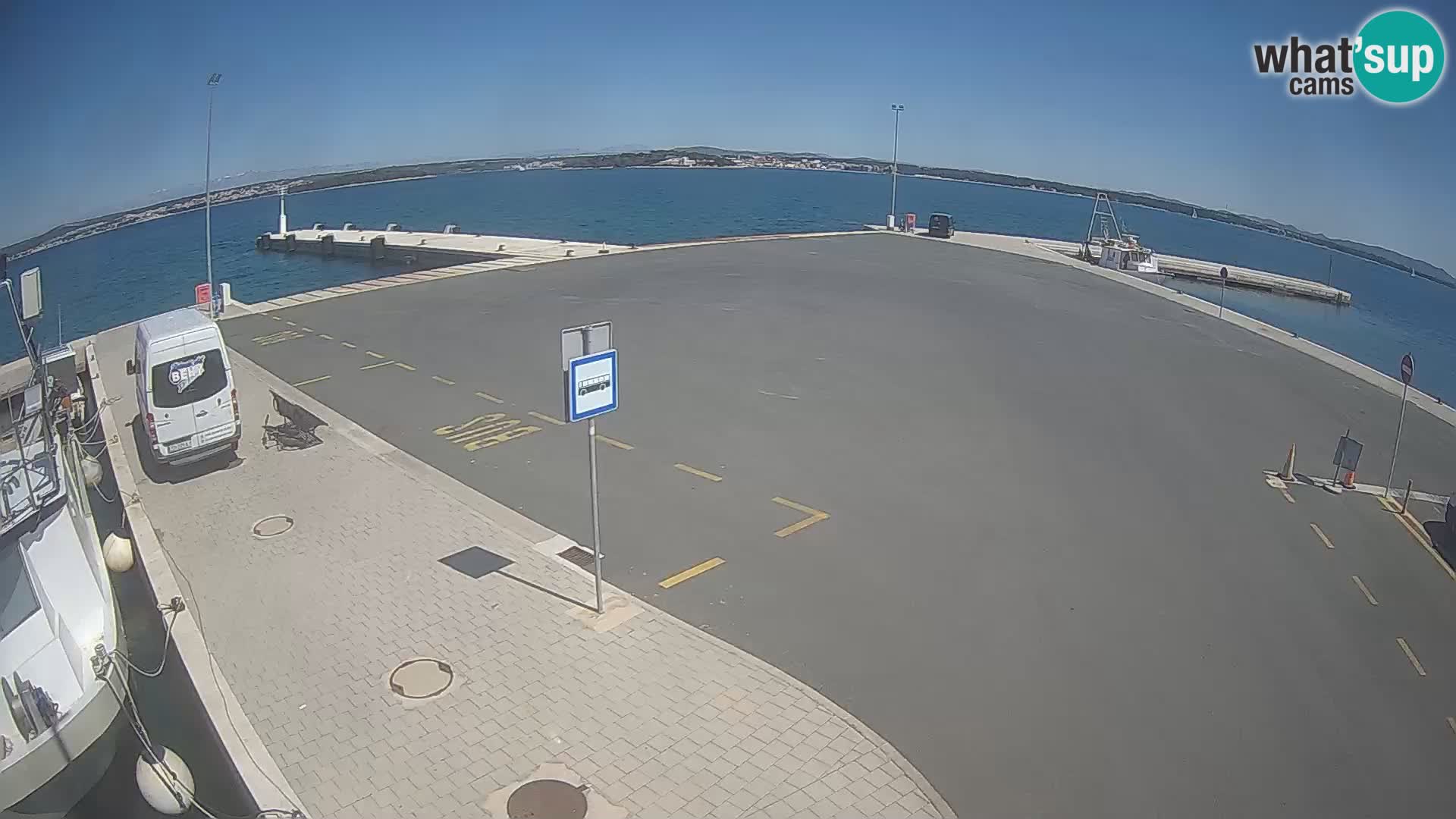 Tkon v živo – trajekt – Dalmacija – Hrvaška