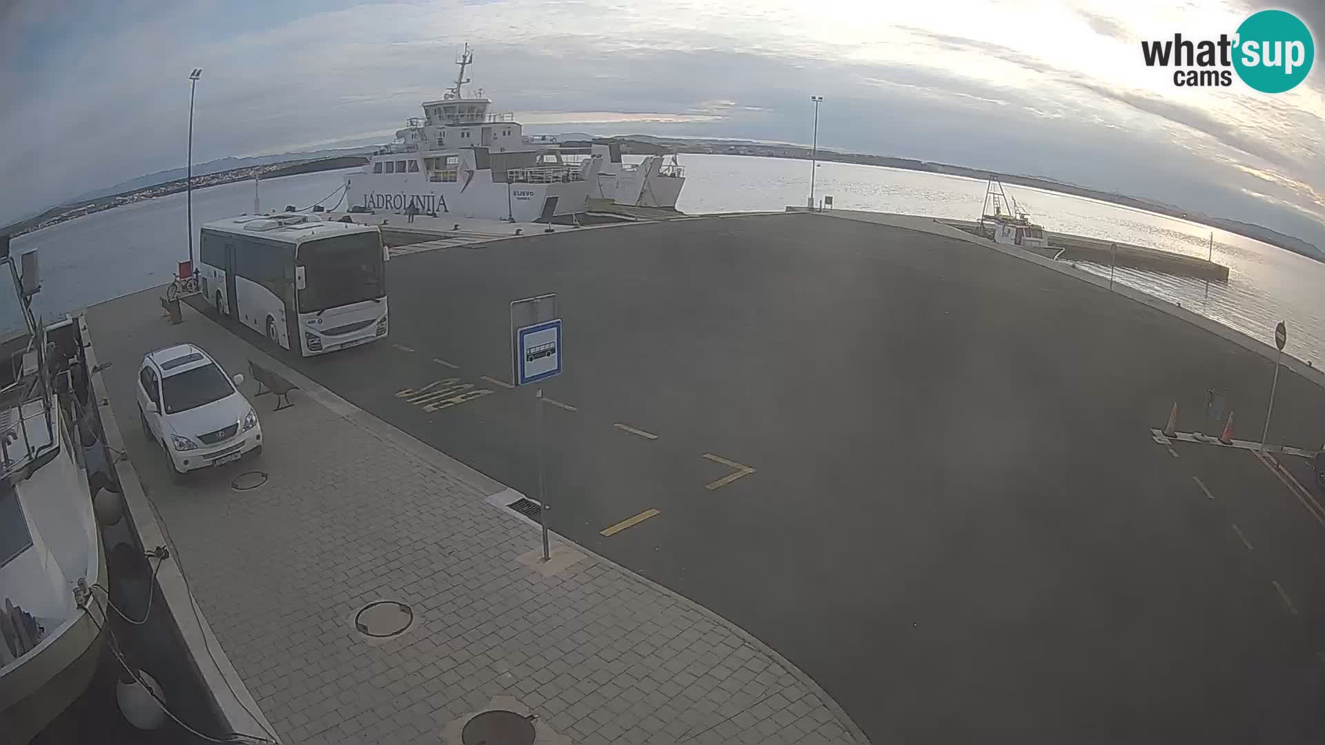 Tkon v živo – trajekt – Dalmacija – Hrvaška