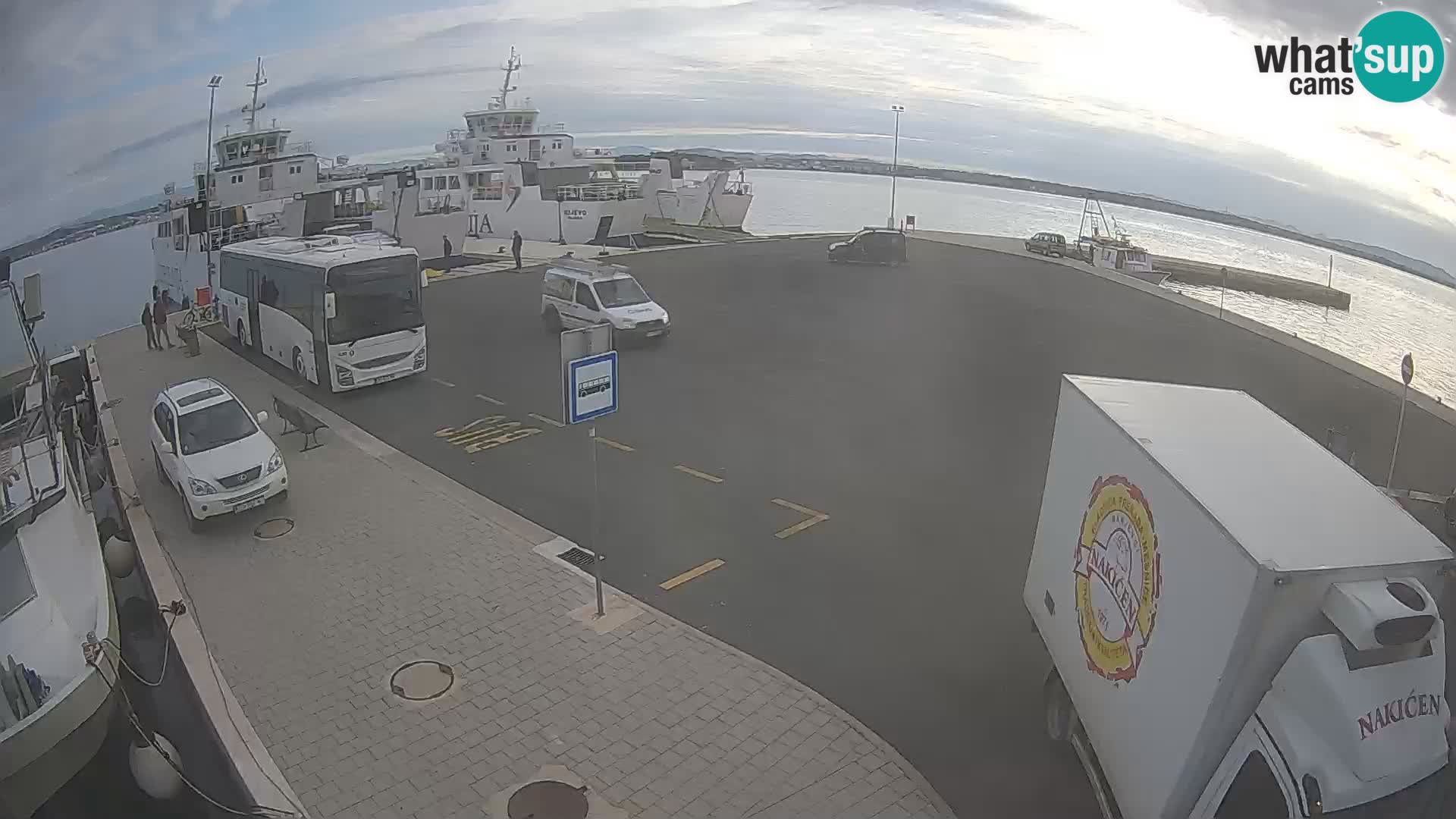 Tkon v živo – trajekt – Dalmacija – Hrvaška