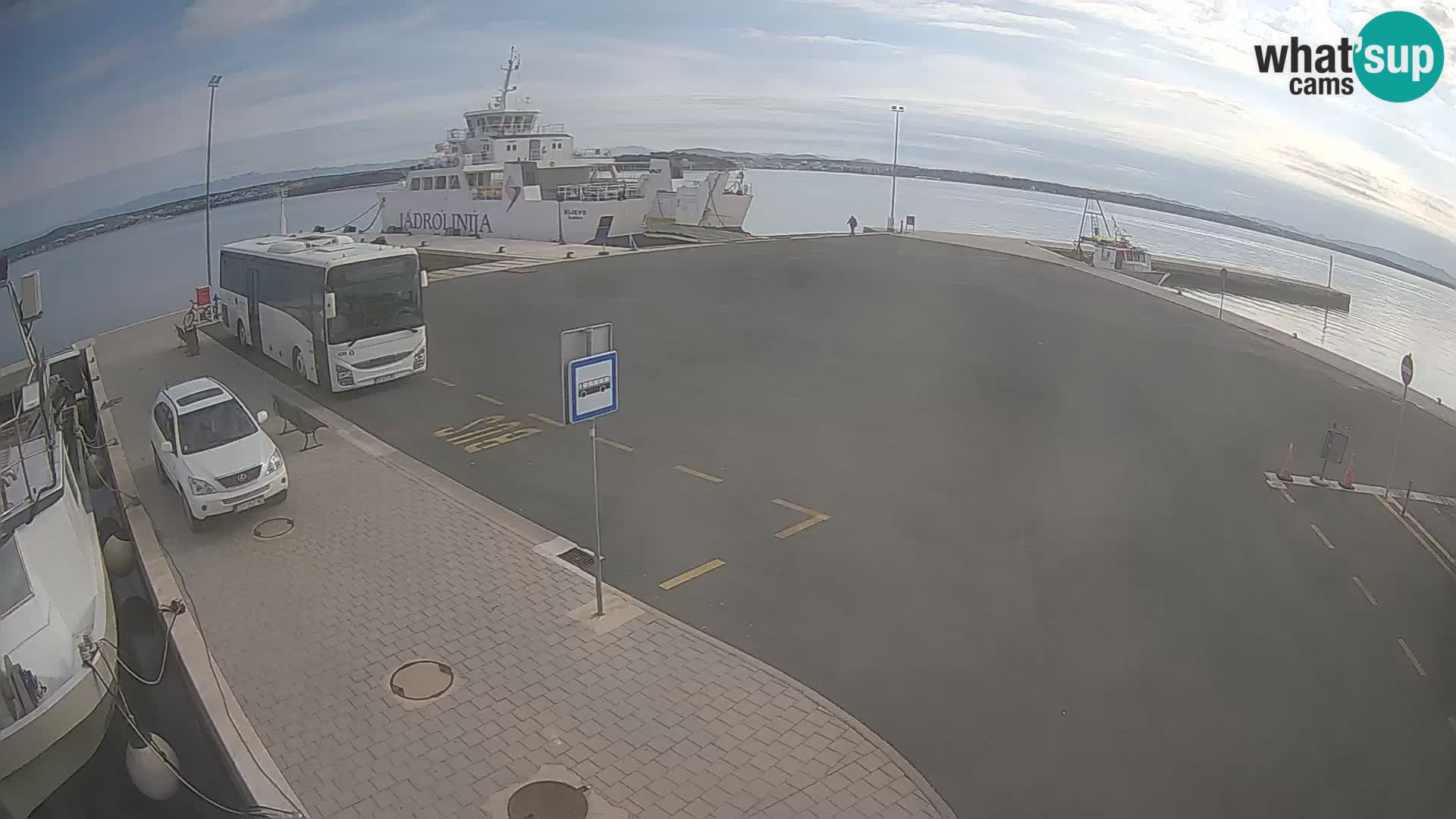 Tkon v živo – trajekt – Dalmacija – Hrvaška