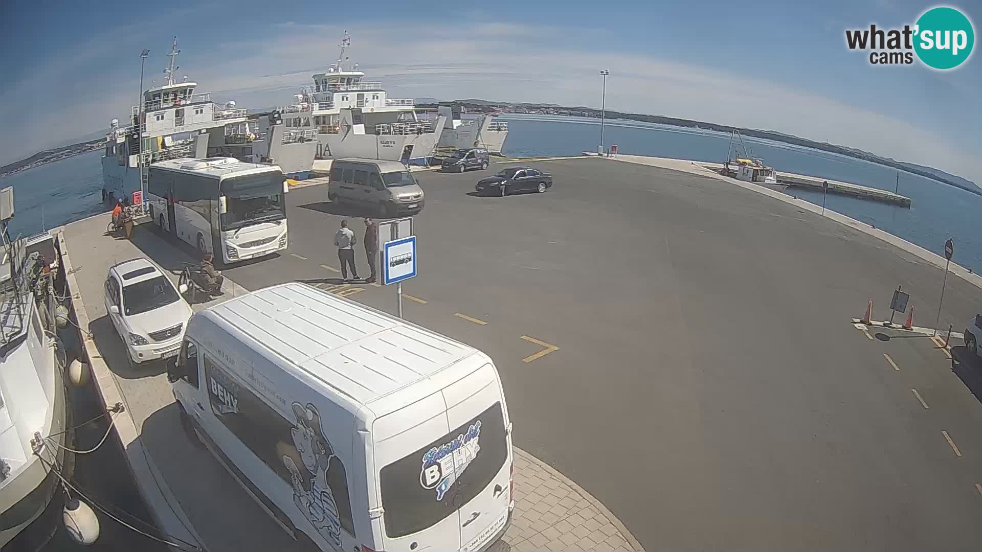 Tkon v živo – trajekt – Dalmacija – Hrvaška