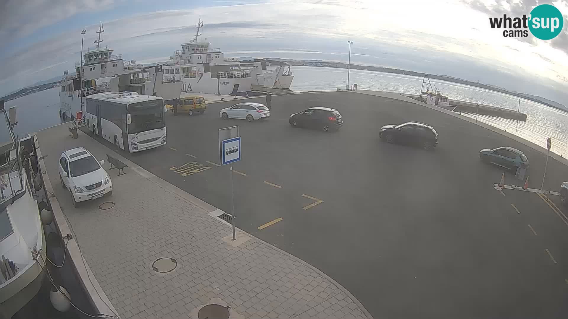 Tkon u živo – trajekt – Dalmacija