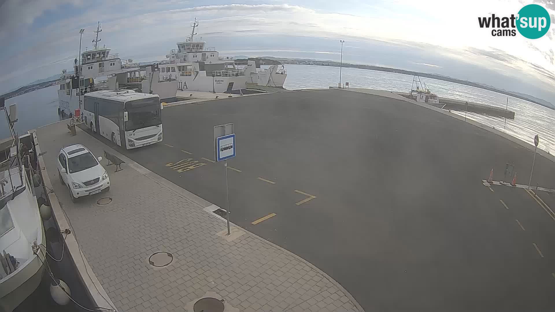 Tkon Live cam – ferry – Dalmatie – Croatie