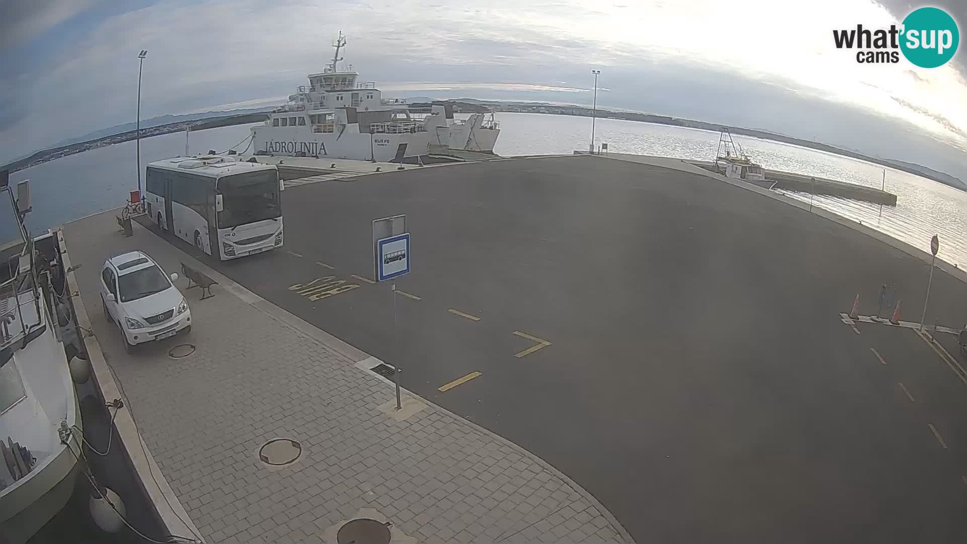 Tkon camera en vivo – Transportar – Dalmacia – Croacia