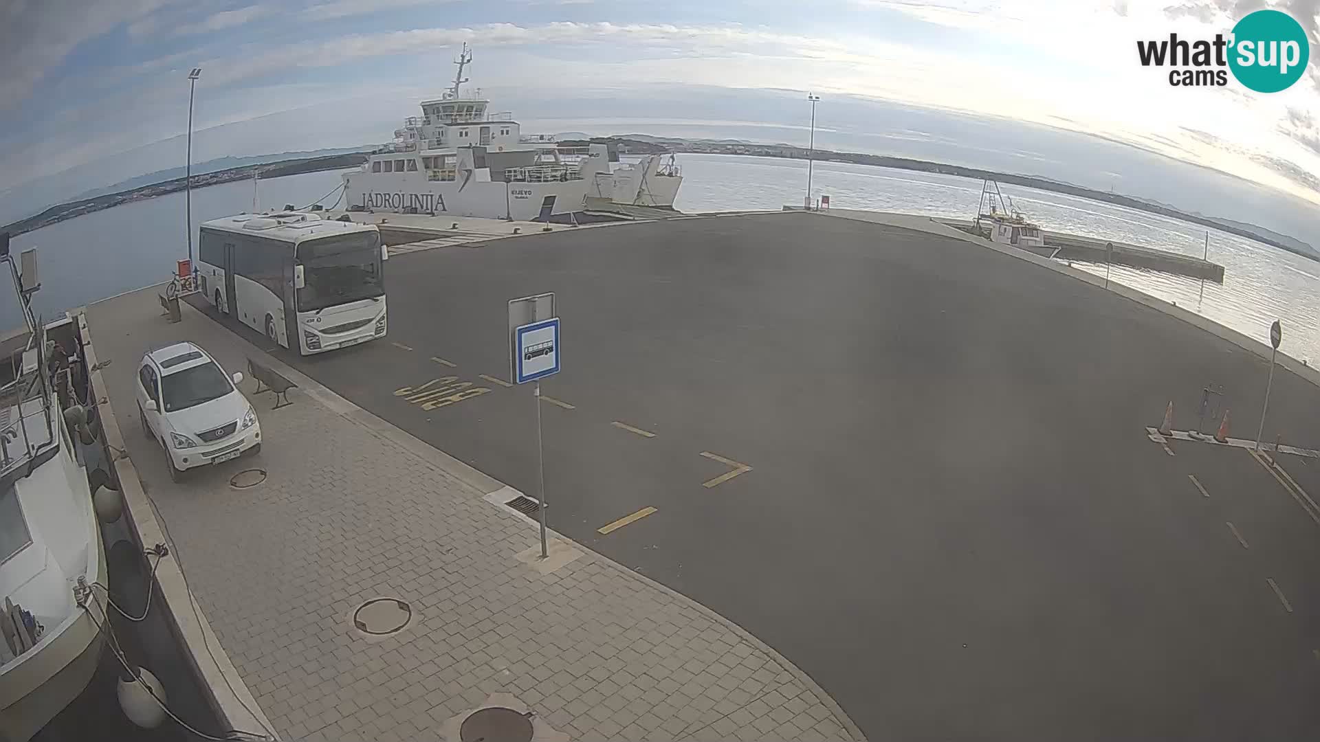 Tkon v živo – trajekt – Dalmacija – Hrvaška