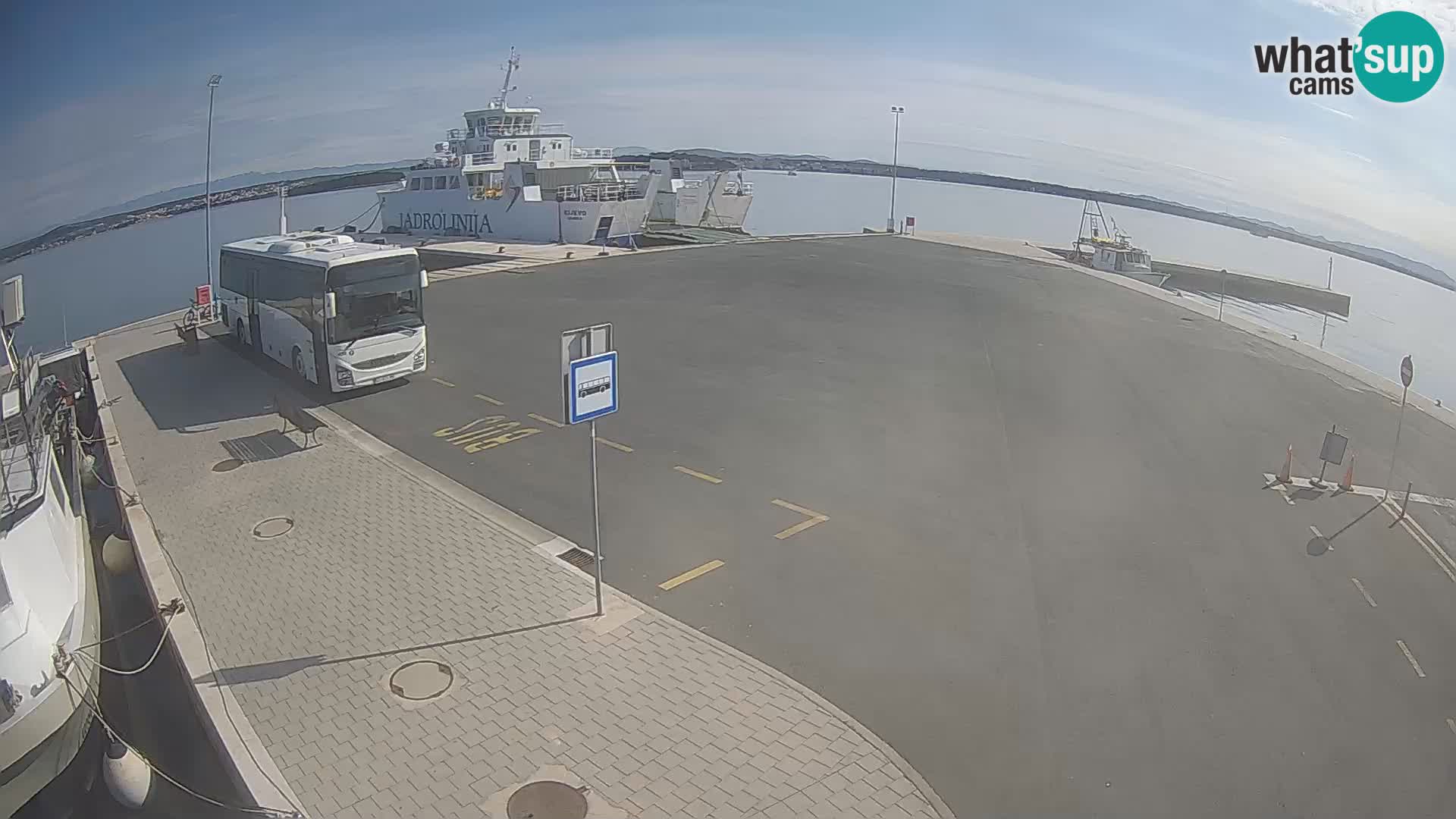 Tkon v živo – trajekt – Dalmacija – Hrvaška