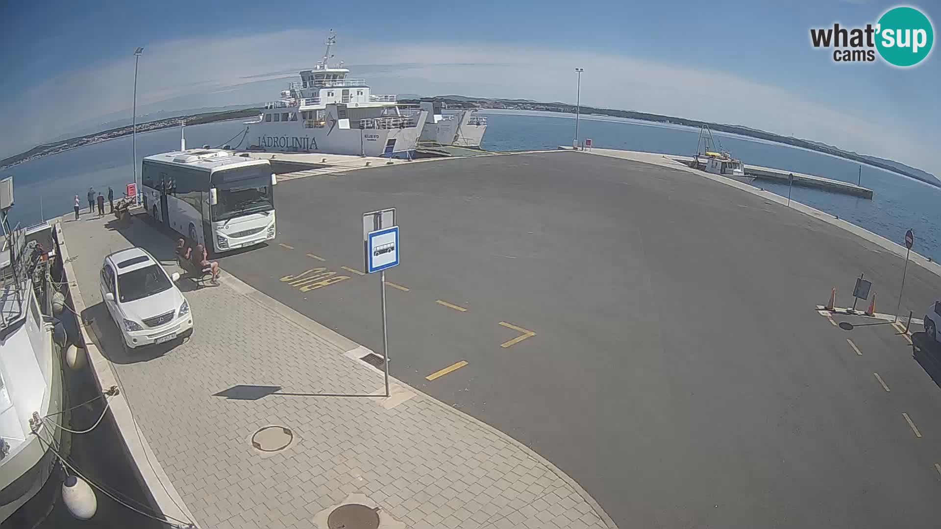 Tkon v živo – trajekt – Dalmacija – Hrvaška