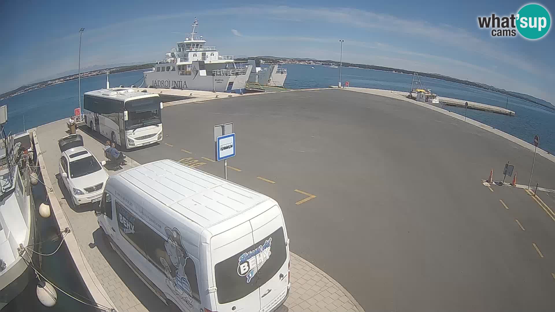 Tkon v živo – trajekt – Dalmacija – Hrvaška