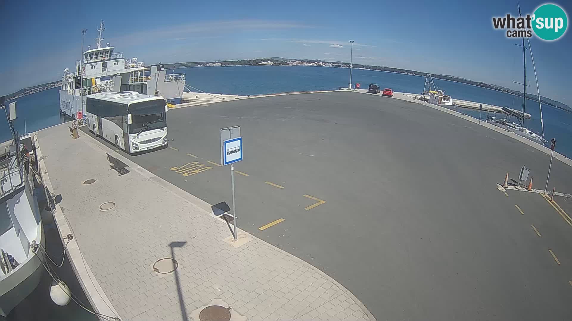 Tkon camera en vivo – Transportar – Dalmacia – Croacia