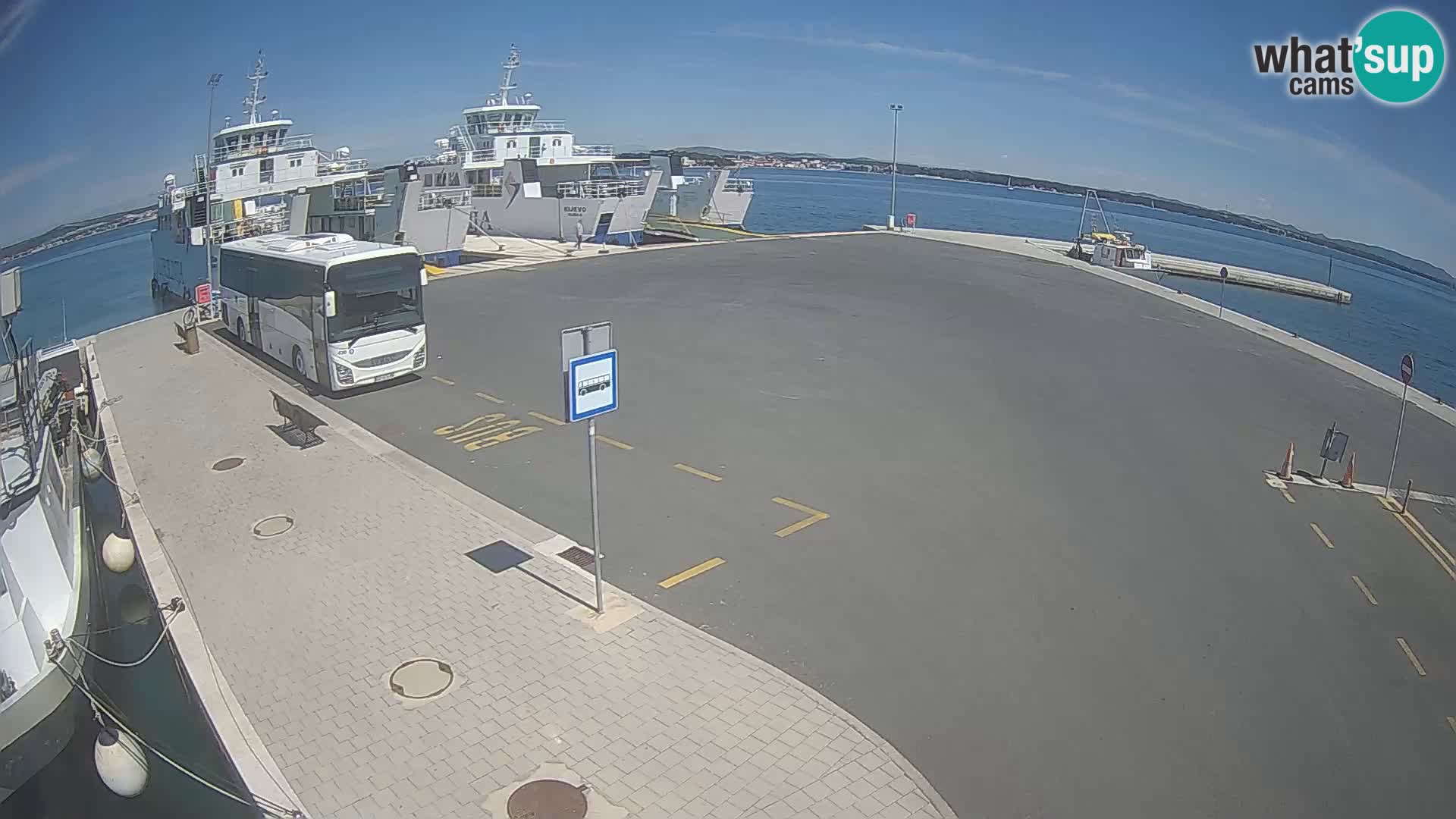 Tkon v živo – trajekt – Dalmacija – Hrvaška