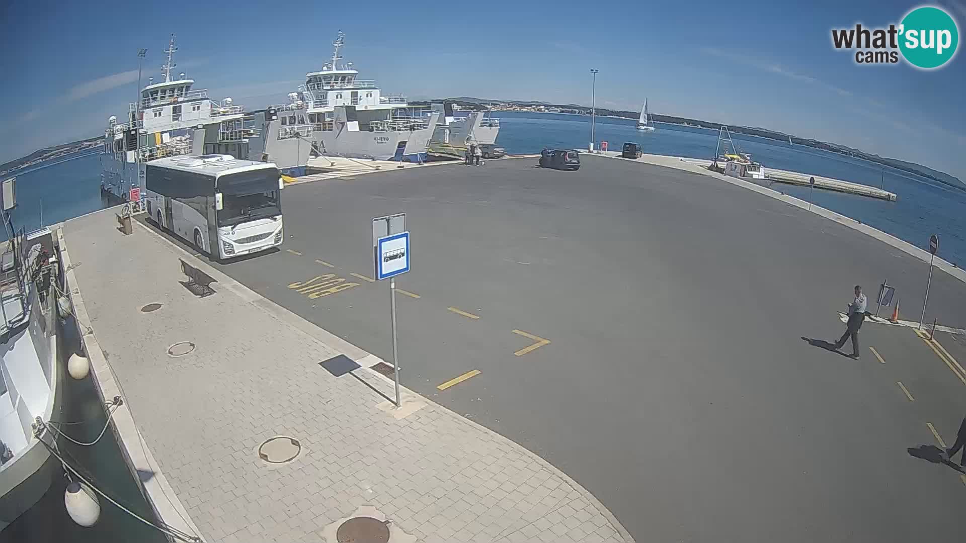 Tkon camera en vivo – Transportar – Dalmacia – Croacia