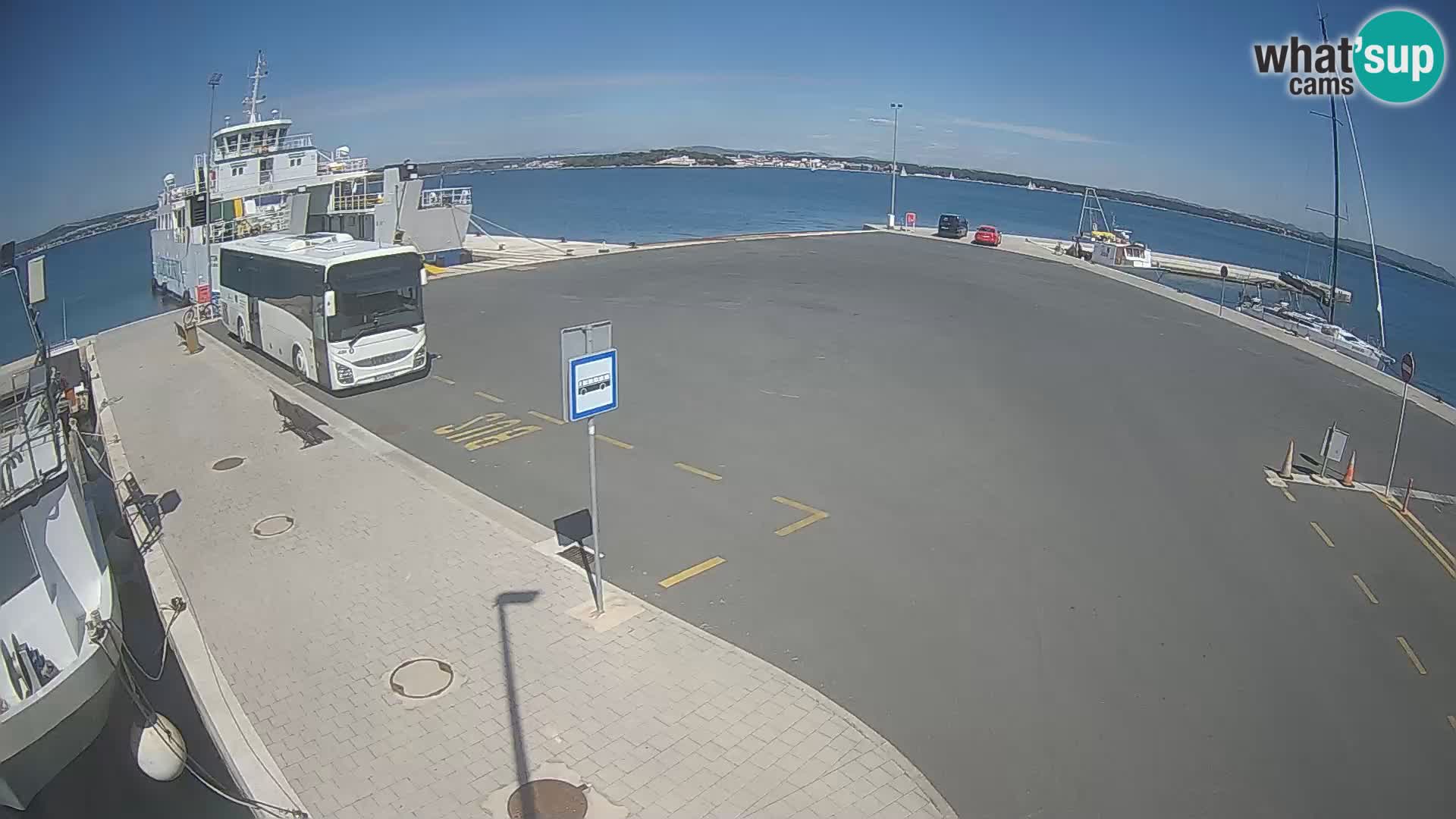 Tkon v živo – trajekt – Dalmacija – Hrvaška