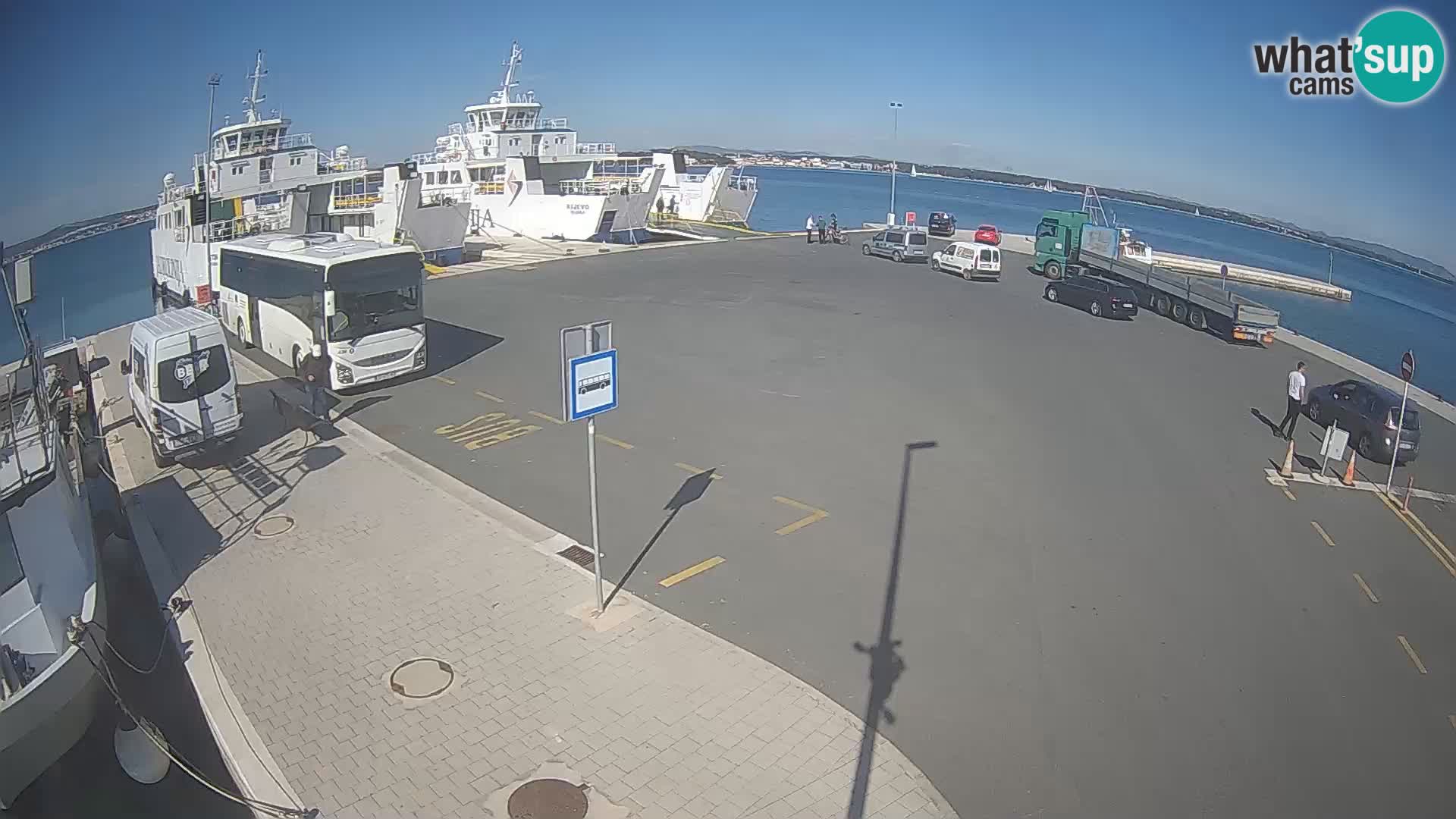 Tkon u živo – trajekt – Dalmacija