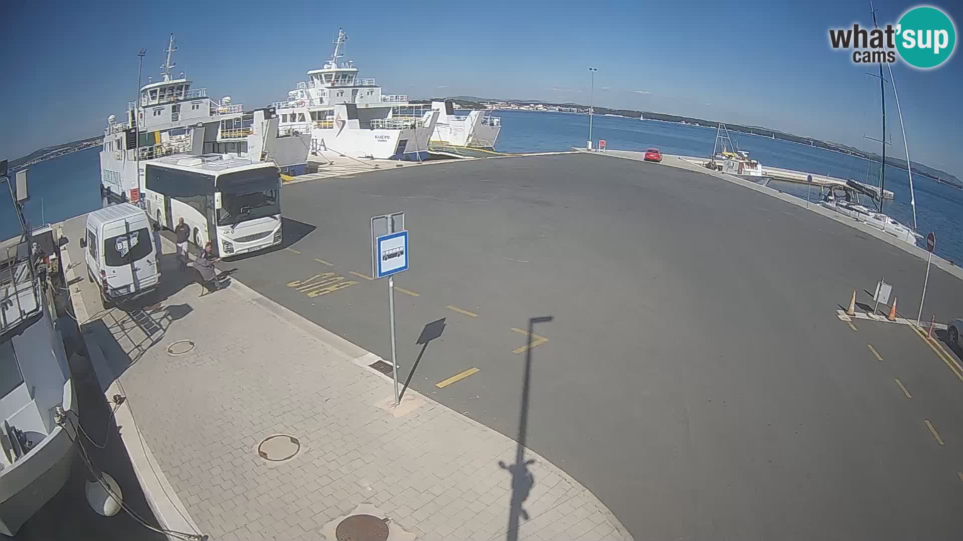 Tkon v živo – trajekt – Dalmacija – Hrvaška