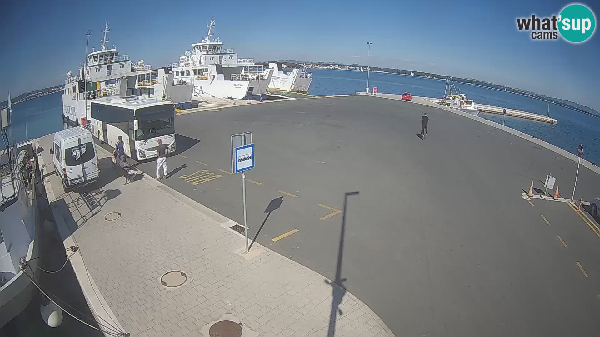 Tkon v živo – trajekt – Dalmacija – Hrvaška